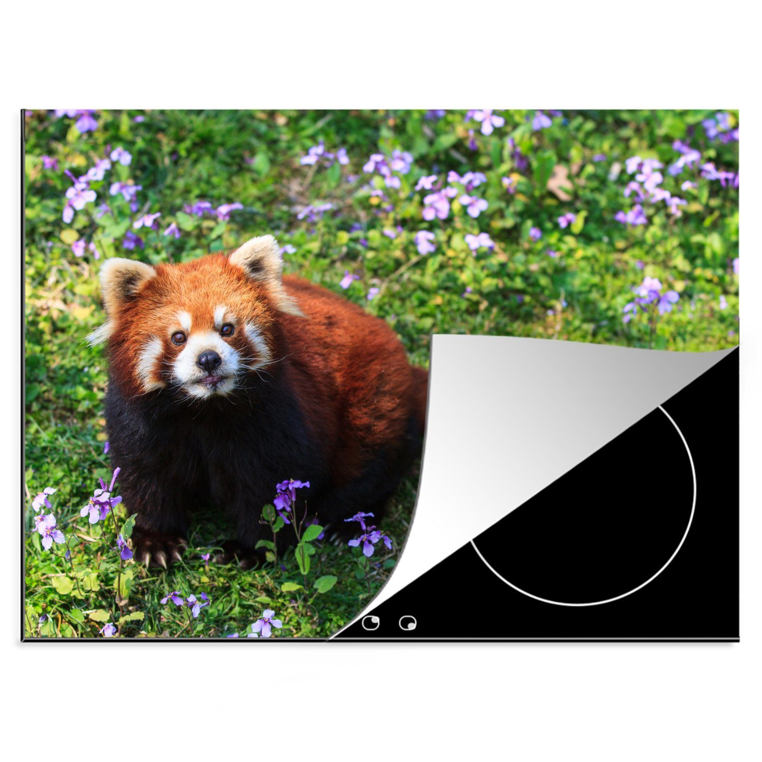 Vinyl, Panda - Roter cm, 70x52 - Arbeitsfläche Herdblende-/Abdeckplatte Lila, MuchoWow (1 Mobile tlg), Blumen Ceranfeldabdeckung nutzbar,