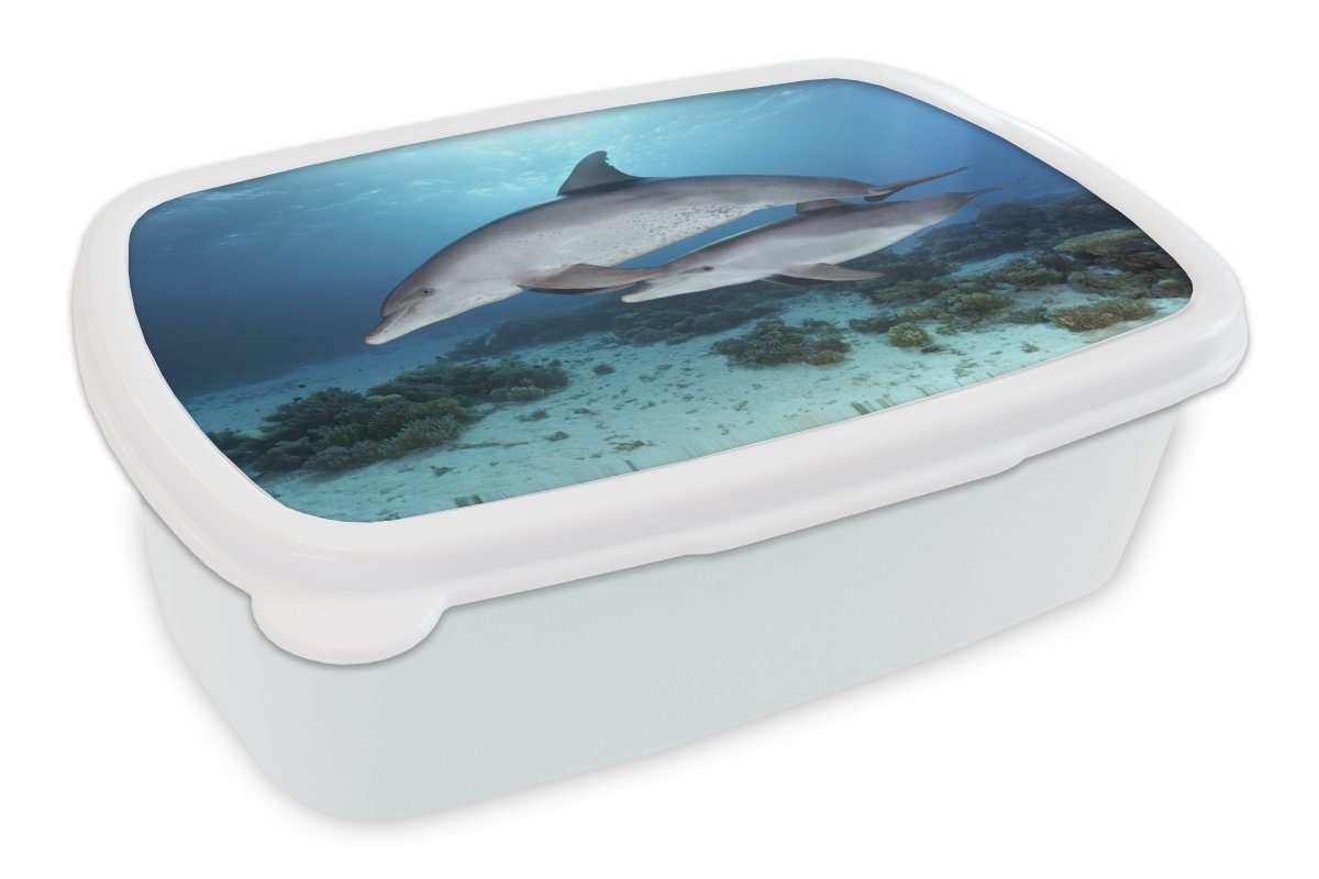 MuchoWow Lunchbox Delfin und für Kinder - Erwachsene, (2-tlg), Kalb weiß Kunststoff, Brotbox für - Brotdose, Jungs und Meer, Mädchen