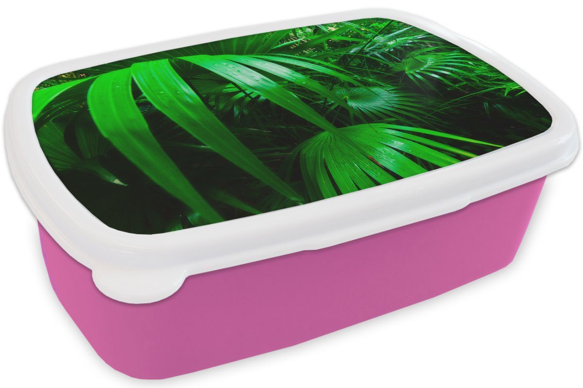 (2-tlg), Palmenblätter Lunchbox Erwachsene, Snackbox, Mädchen, Kinder, Dschungel, im Kunststoff, Brotdose Kunststoff rosa Brotbox für MuchoWow