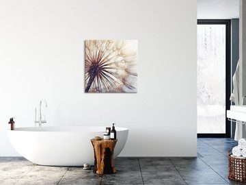 Pixxprint Glasbild Schöne Pusteblume, Schöne Pusteblume (1 St), Glasbild aus Echtglas, inkl. Aufhängungen und Abstandshalter