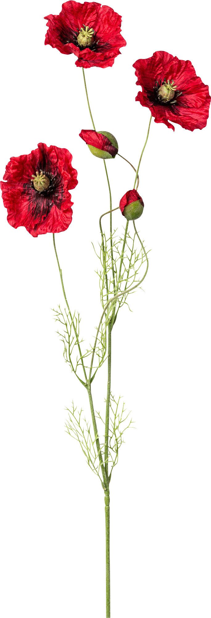 Kunstpflanze Kunstpflanze Mohn günstig online kaufen