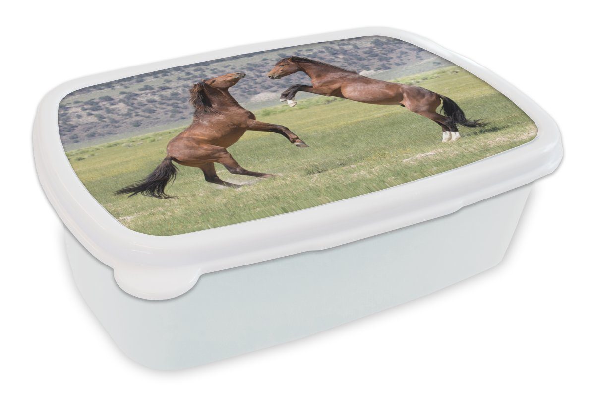 MuchoWow Lunchbox Zwei kämpfende Mustang-Pferde, Kunststoff, (2-tlg), Brotbox für Kinder und Erwachsene, Brotdose, für Jungs und Mädchen weiß