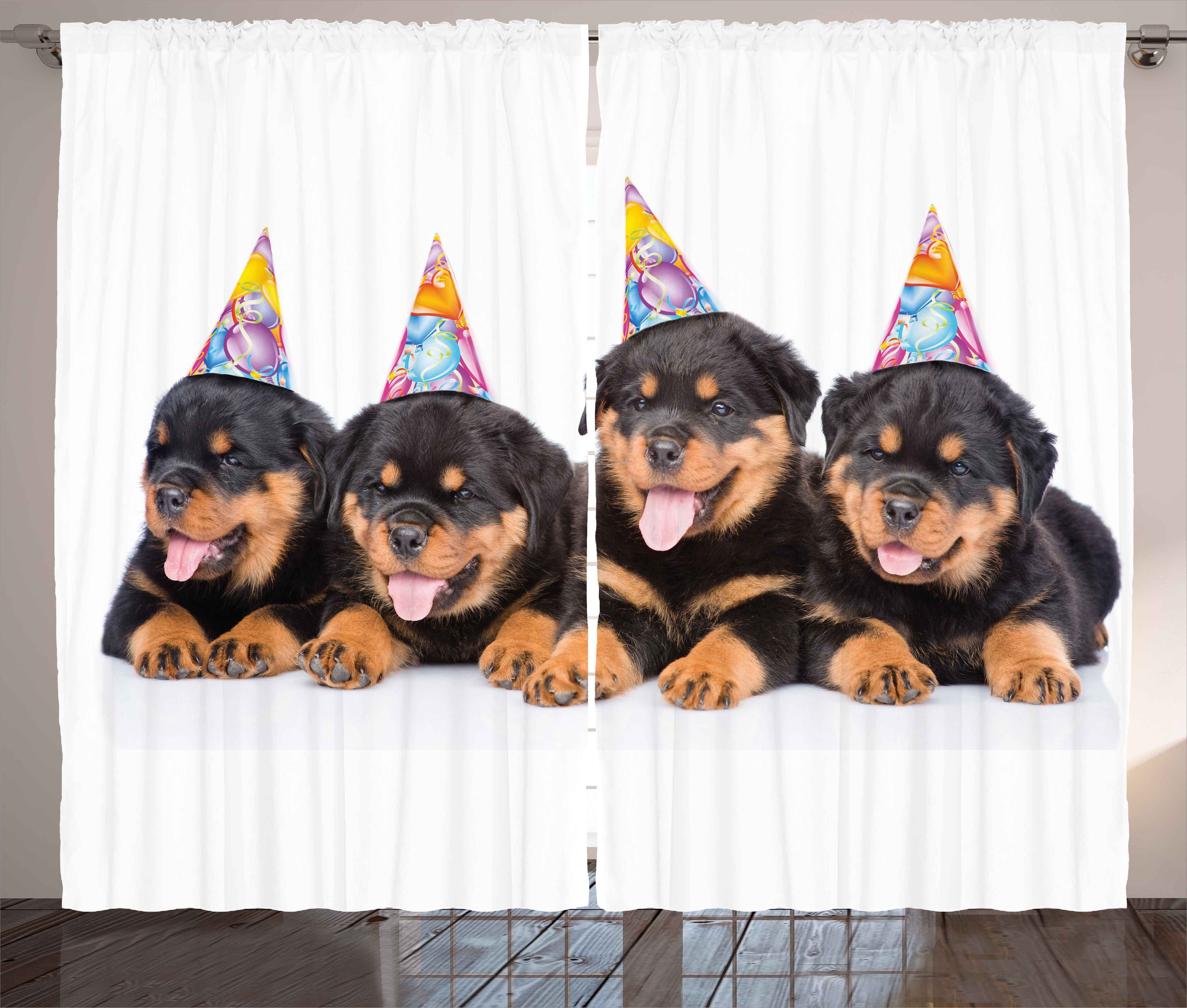 Gardine Schlafzimmer Kräuselband Vorhang mit Schlaufen und Haken, Abakuhaus, Geburtstag Geburtstags-Hunde Kappen