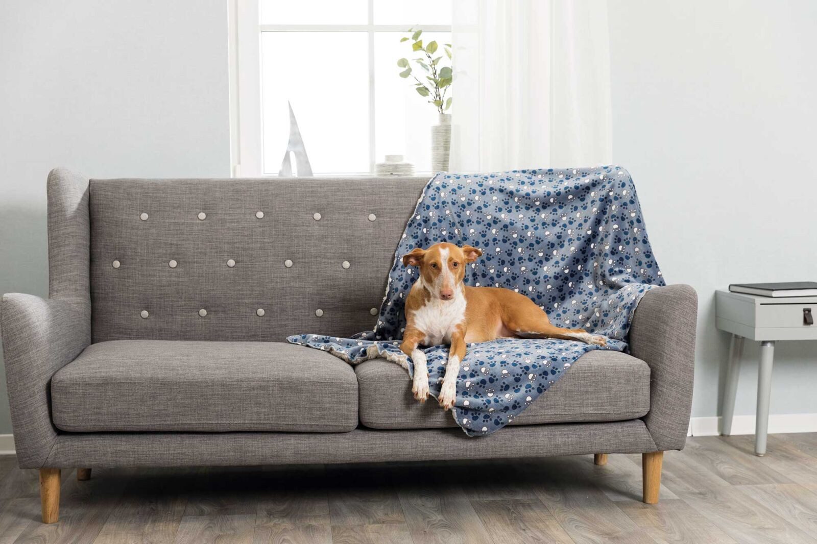 TRIXIE Tierdecke Decke Tammy - blau/beige - 150 × 100 cm