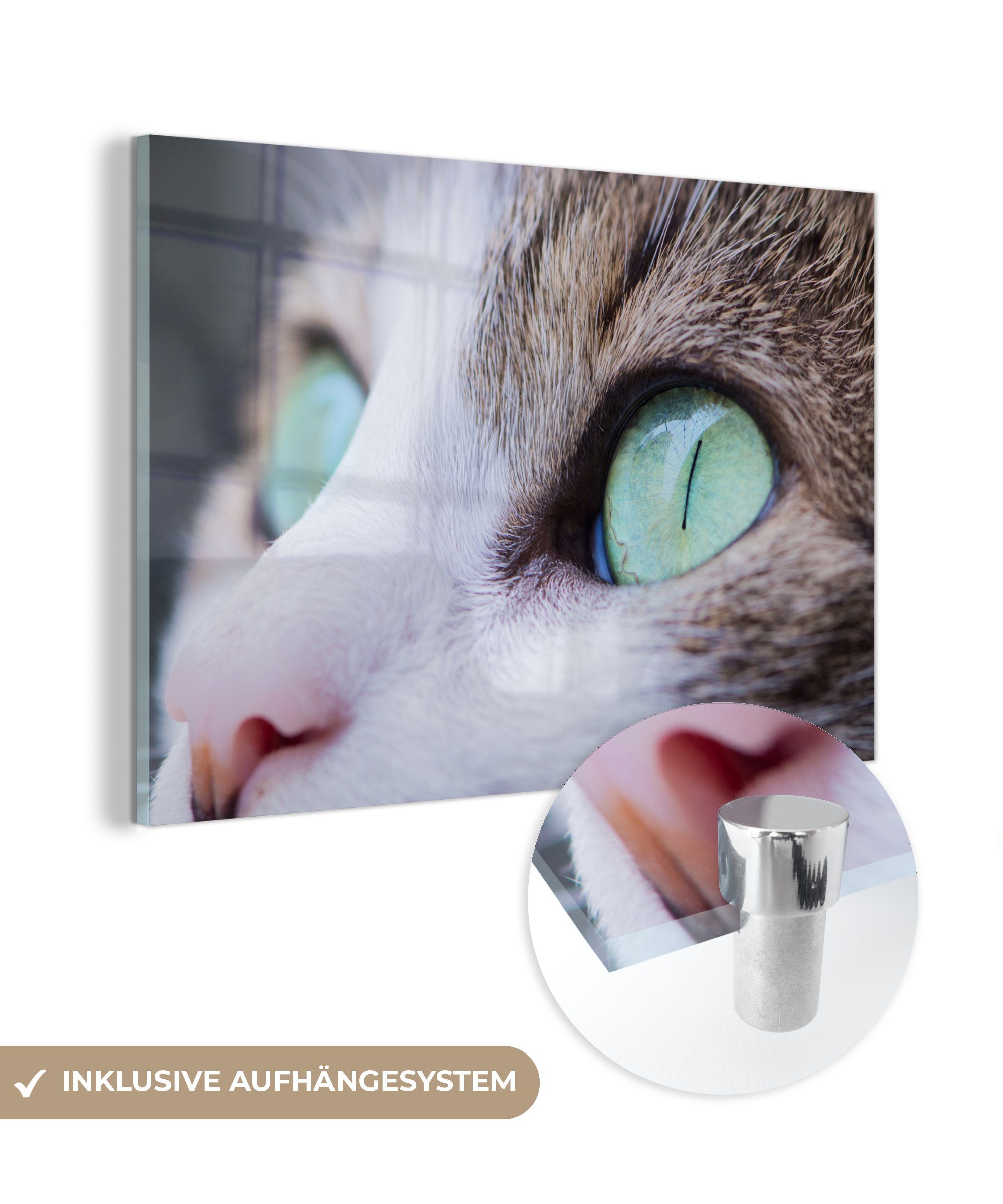 MuchoWow Acrylglasbild Katze - Licht - Augen, (1 St), Acrylglasbilder Wohnzimmer & Schlafzimmer | Bilder