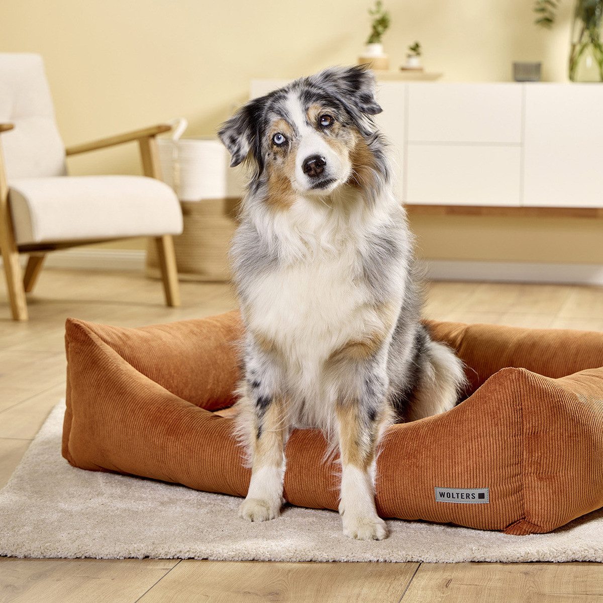 Wolters Tierbett Fiete Cord Lounge Umber
