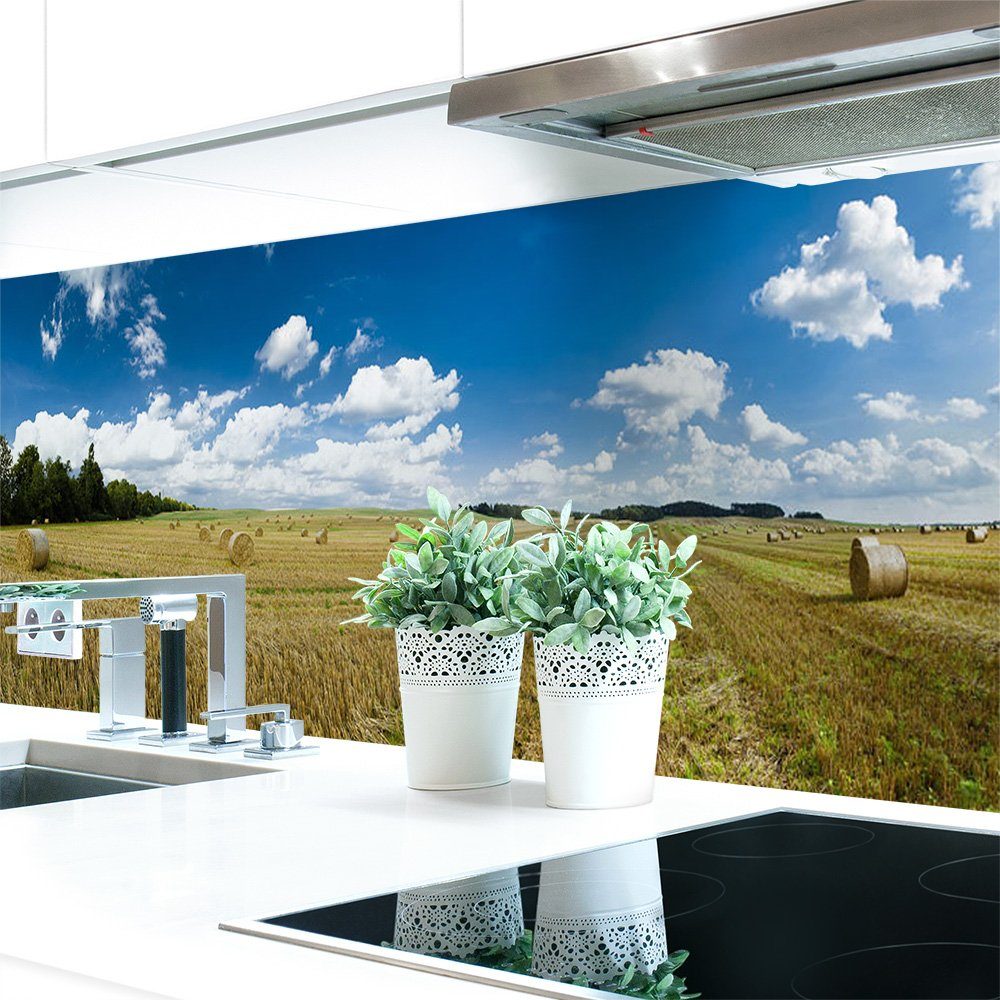 DRUCK-EXPERT Küchenrückwand Küchenrückwand Feld Premium Hart-PVC 0,4 mm selbstklebend