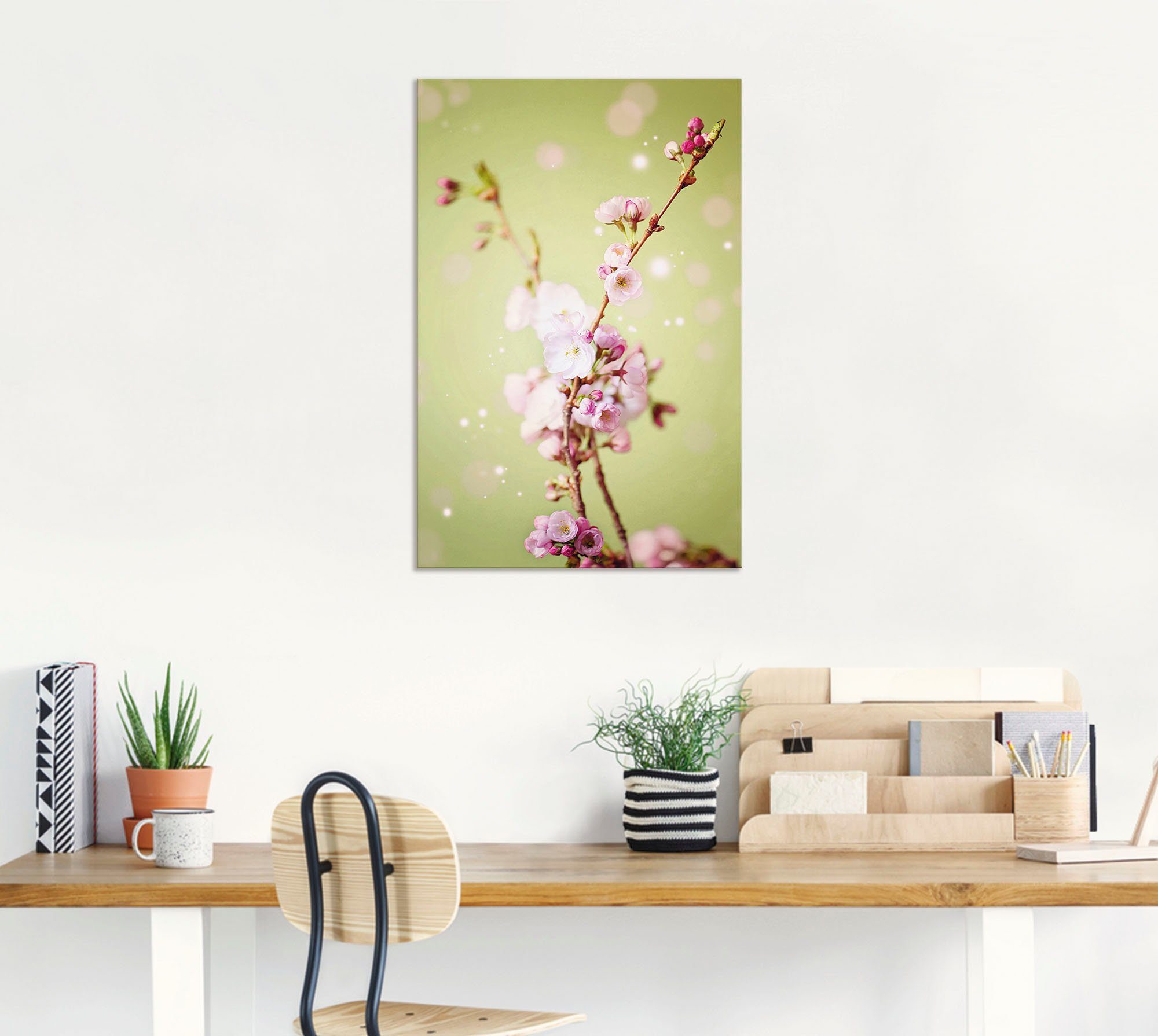 Artland St), Wandbild Poster Leinwandbild, Alubild, Kirschblütenzweig, als in (1 Wandaufkleber oder Blumen versch. Größen