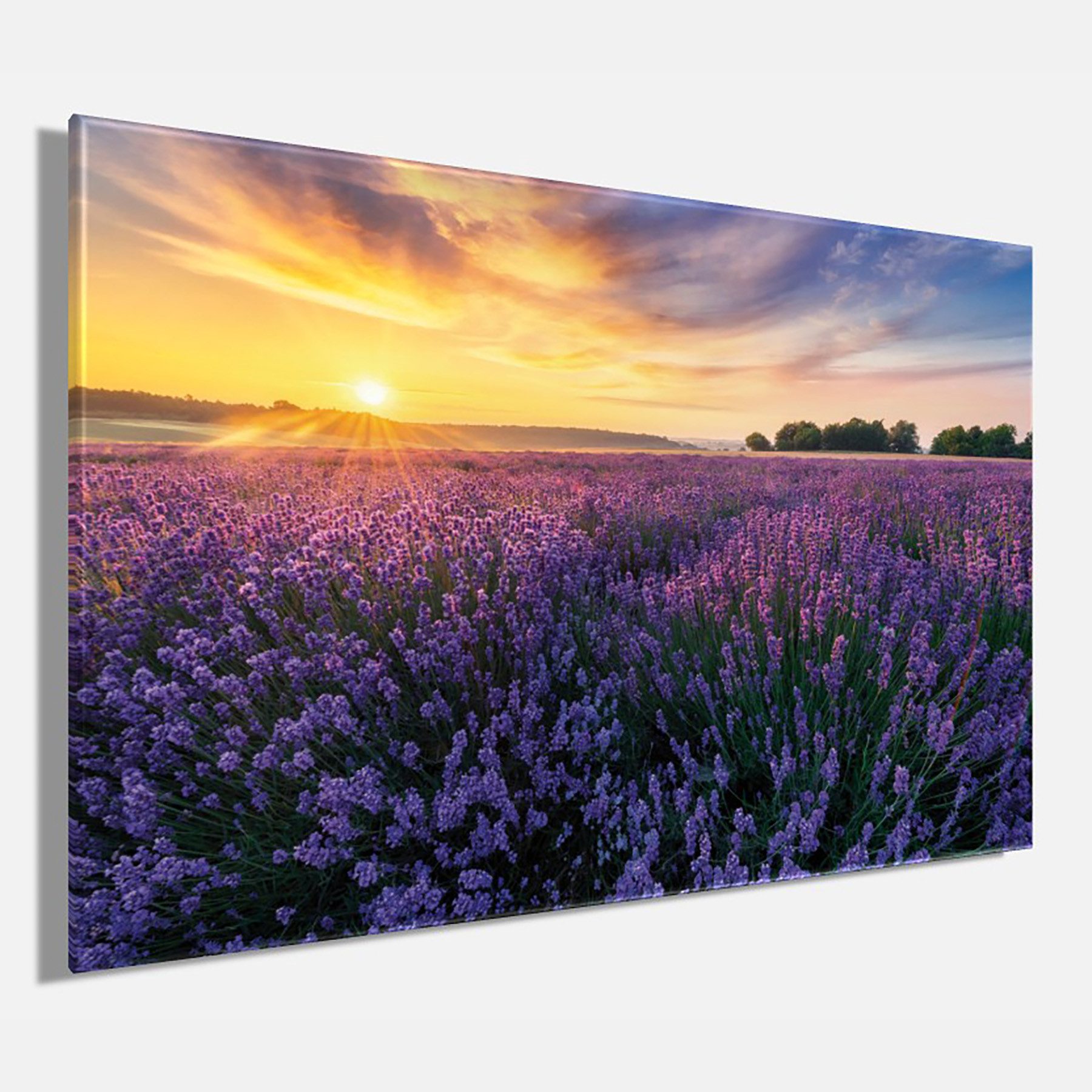 Bönninghoff Leinwandbild, Felder, Sonnenaufgang (1 St)