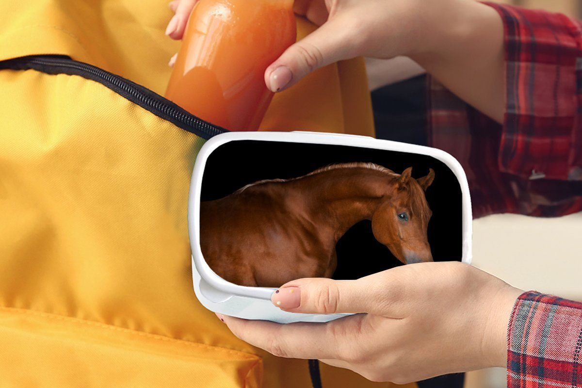 MuchoWow Lunchbox Pferd - Schwarz für (2-tlg), Jungs - Erwachsene, Mädchen Kinder für Kunststoff, Brotbox Braun, und und Brotdose, weiß
