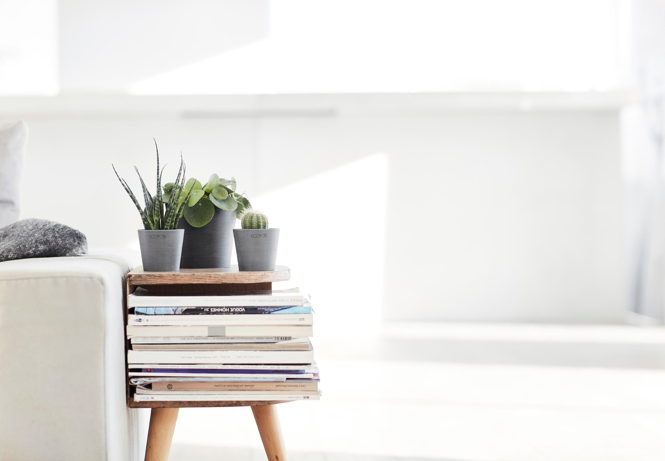 Ecopots Pflanztopf Amsterdam Mini Grau 8 cm günstig online kaufen