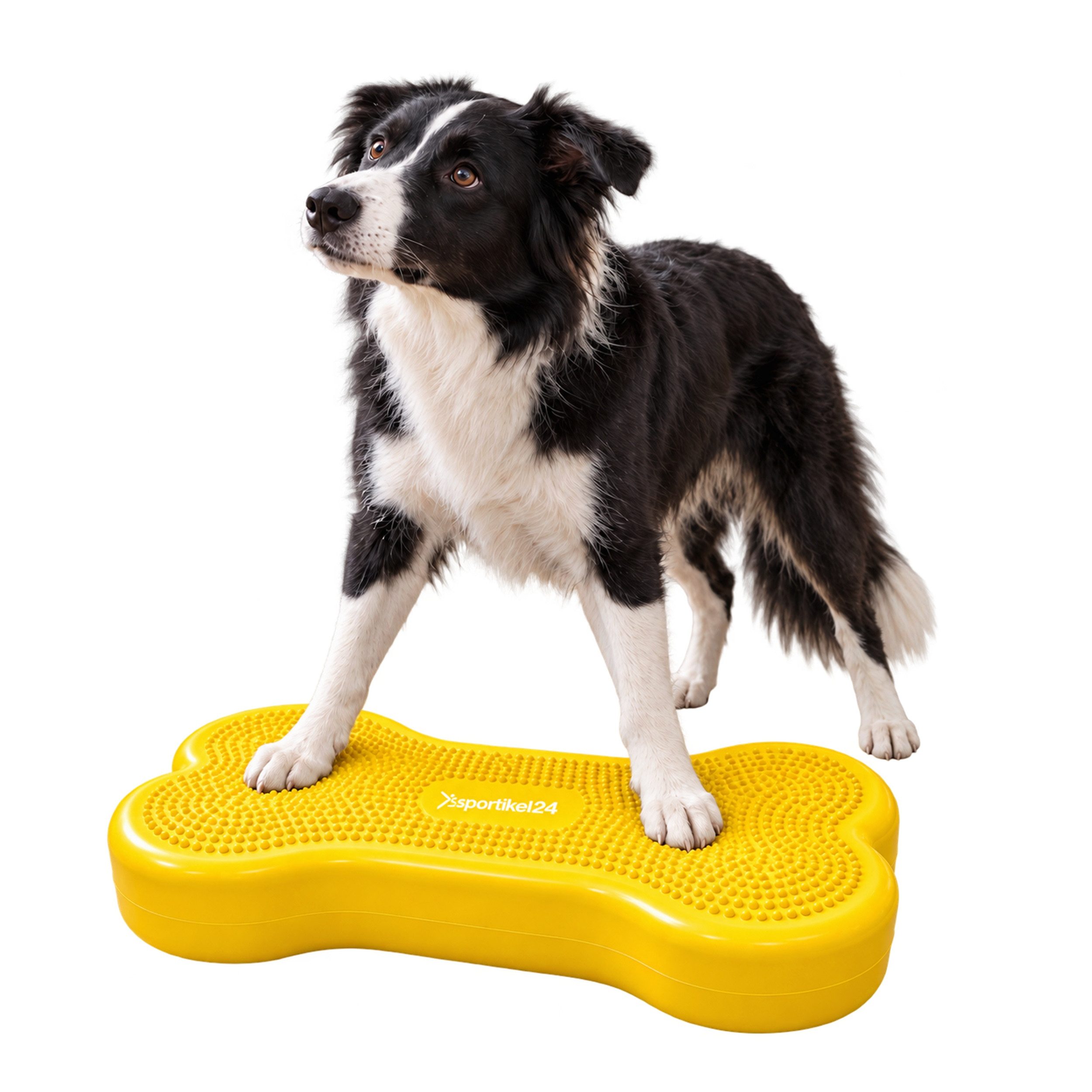 Superhund Balancetrainer Balance-Knochen für Hunde – Muskelaufbau & Reha – Medium – Gelb