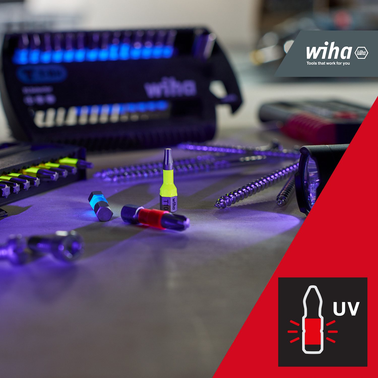 Wiha Bit-Set BitBuddy (42136) - 9 tlg., TY-Bit 29 mm, TORX 1/4" C6,3, Zubehör für Schraubanwendungen