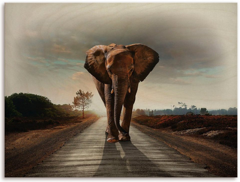 Artland Holzbild Ein Elefant läuft auf der Straße, Elefanten Bilder (1 St),  Wandbild aus 12 mm Multiplexplatte aus Birkenholz