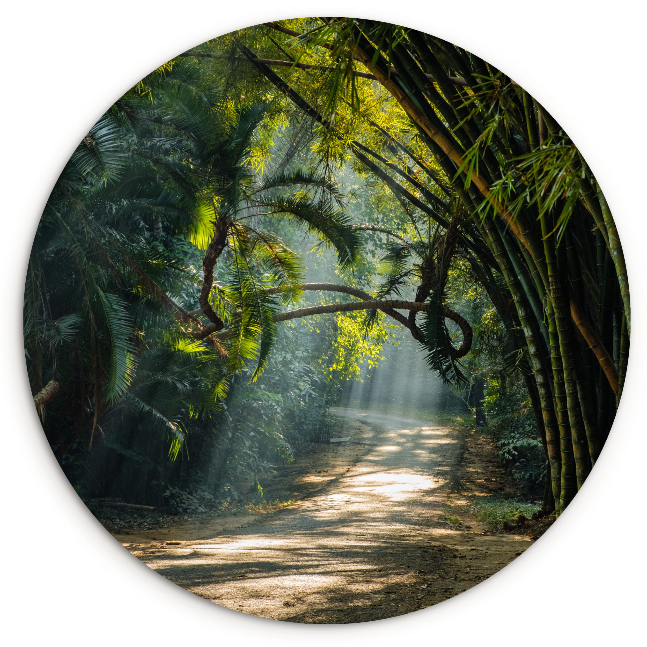 Gemälde Bambusreihen in Asien