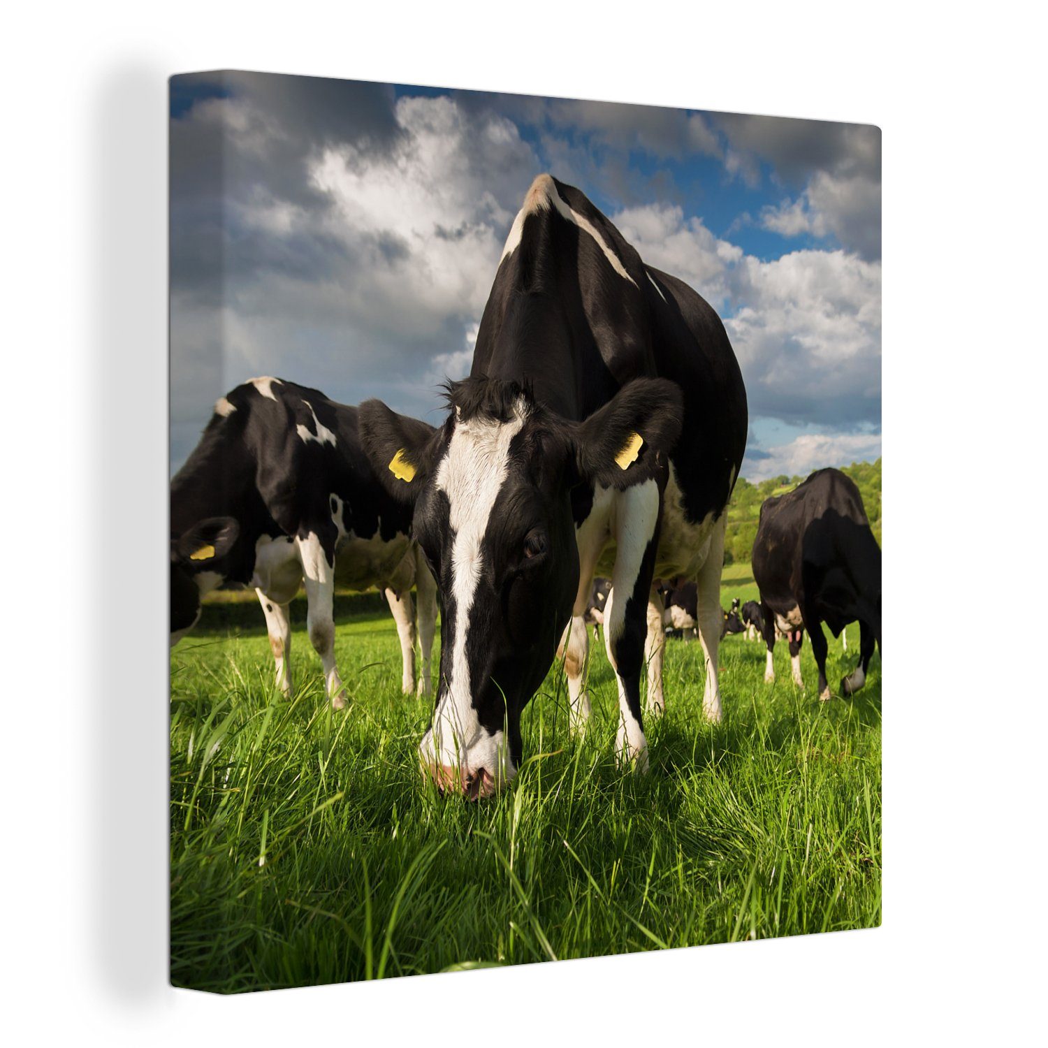 Gras - Wiese Bauernhof, Tiere - OneMillionCanvasses® Leinwand für Leinwandbild Wohnzimmer Kühe Bilder St), - Schlafzimmer - (1 bunt