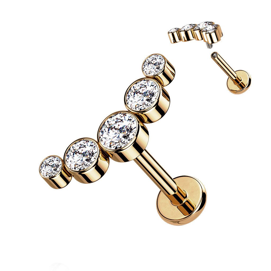 Taffstyle Piercing-Set Piercing Ohr Bogen flach 5 Kristalle Rosegold Clear günstig online kaufen