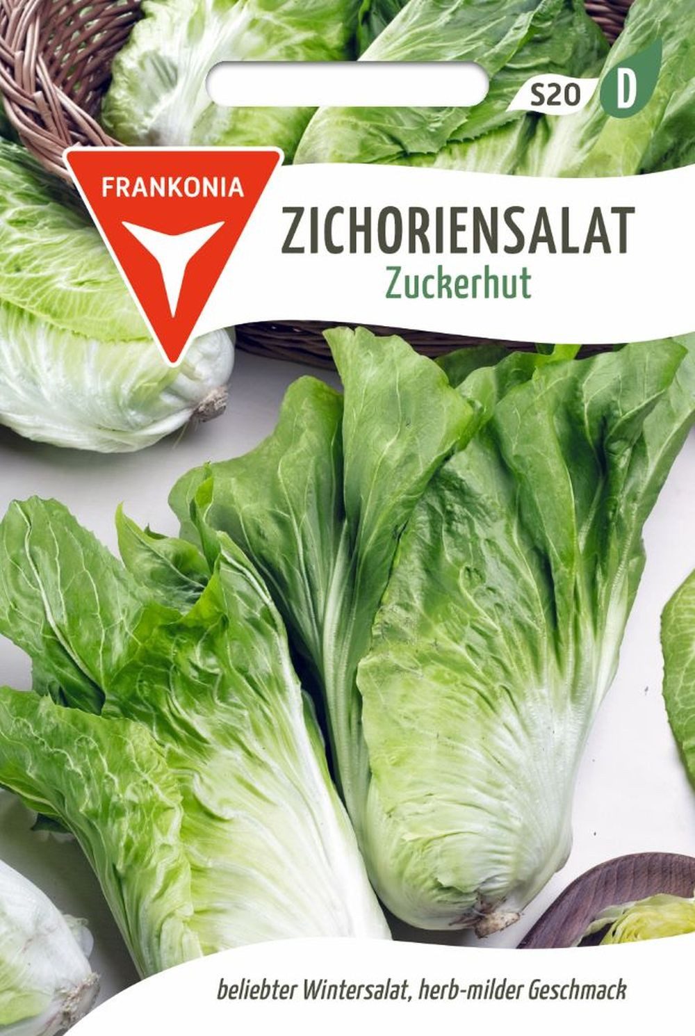 FRANKONIA Gemüsesamen Zichoriensalat, Zuckerhut - Saatgut Salat-Samen Samen, Cichorium intybus
