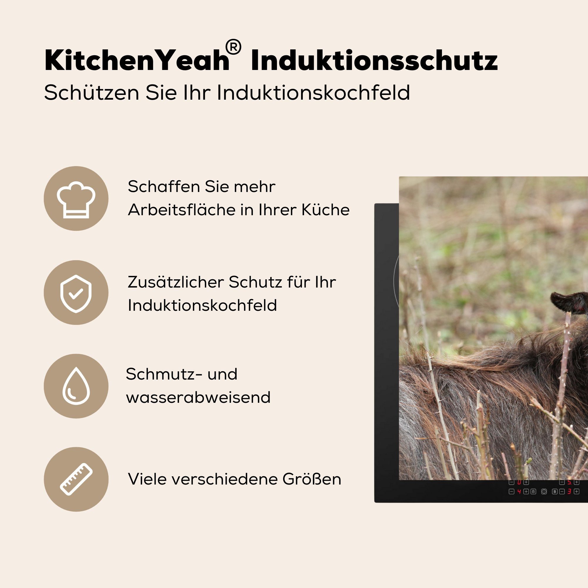 Induktionskochfeld tlg), für Gras - Ziege cm, 81x52 Schutz Ceranfeldabdeckung Vinyl, MuchoWow (1 - küche, die Herdblende-/Abdeckplatte Hörner,