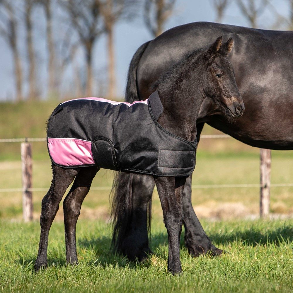 Harry's horse Fohlendecke Fohlendecke Two Tone pink