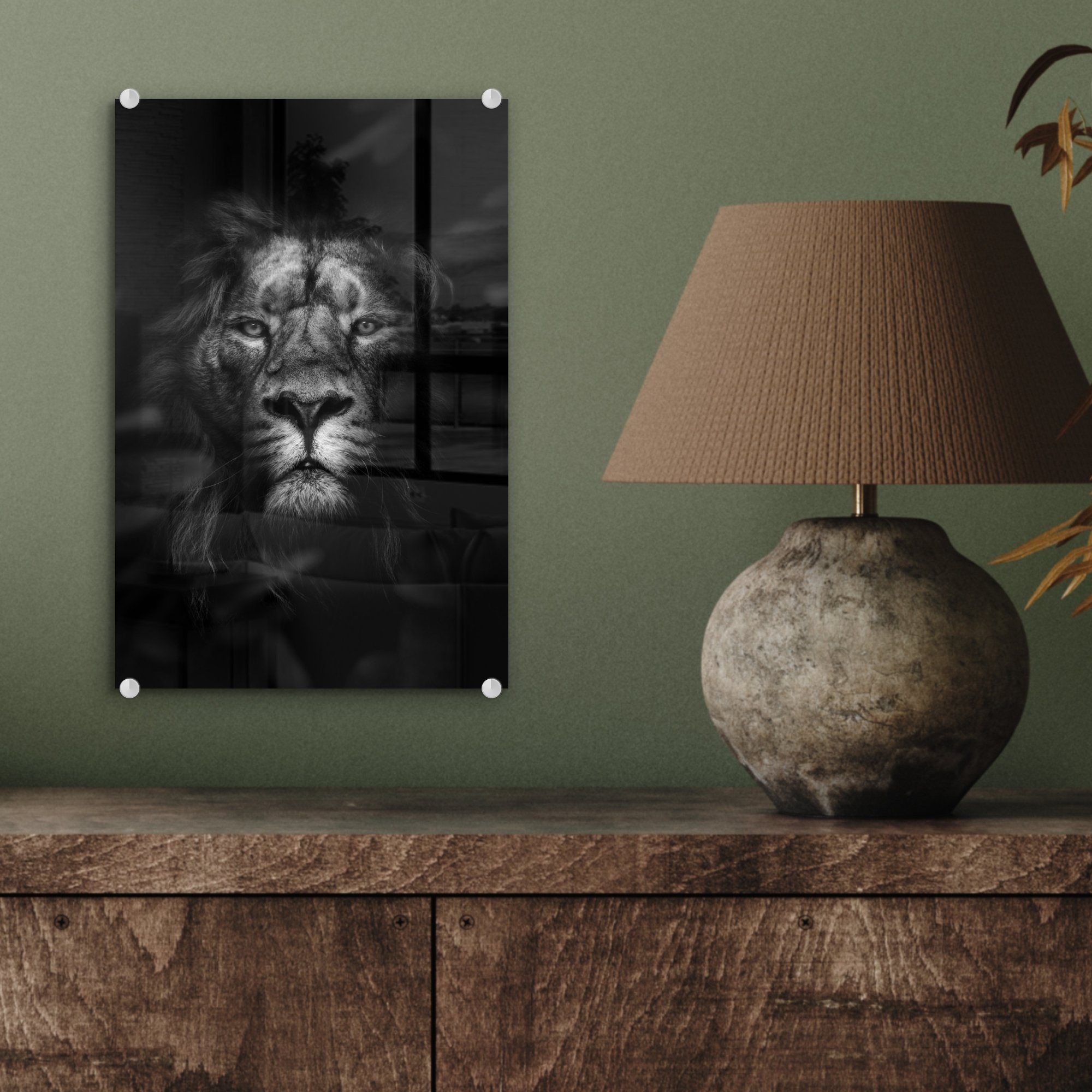 St), schwarz Foto im - weiß, Glas Bilder auf Löwen auf Acrylglasbild Porträt eines und Dschungel bunt - Wanddekoration Glas - - (1 Glasbilder MuchoWow Wandbild