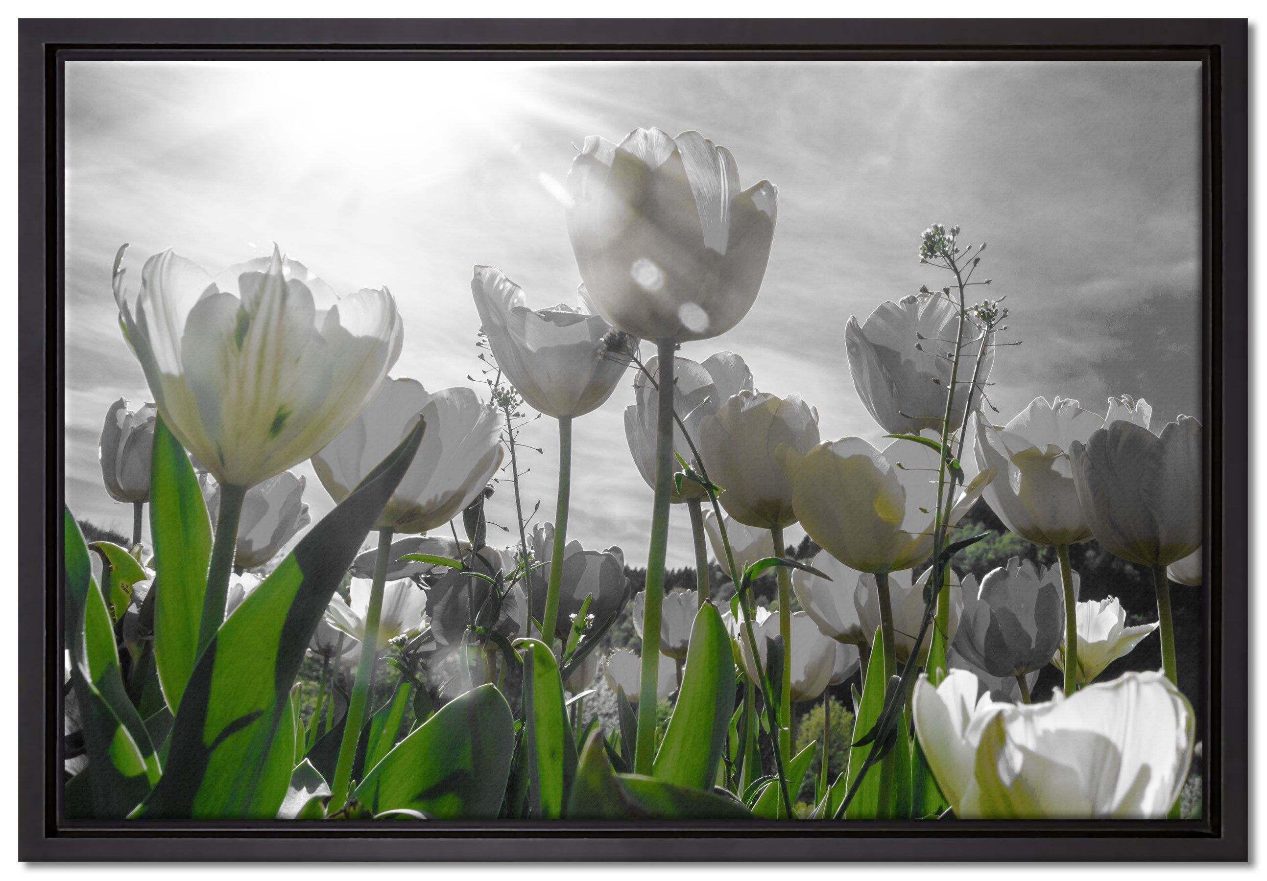 Pixxprint Leinwandbild wunderschöne Tulpenwiese, Wanddekoration (1 St), Leinwandbild fertig bespannt, in einem Schattenfugen-Bilderrahmen gefasst, inkl. Zackenaufhänger