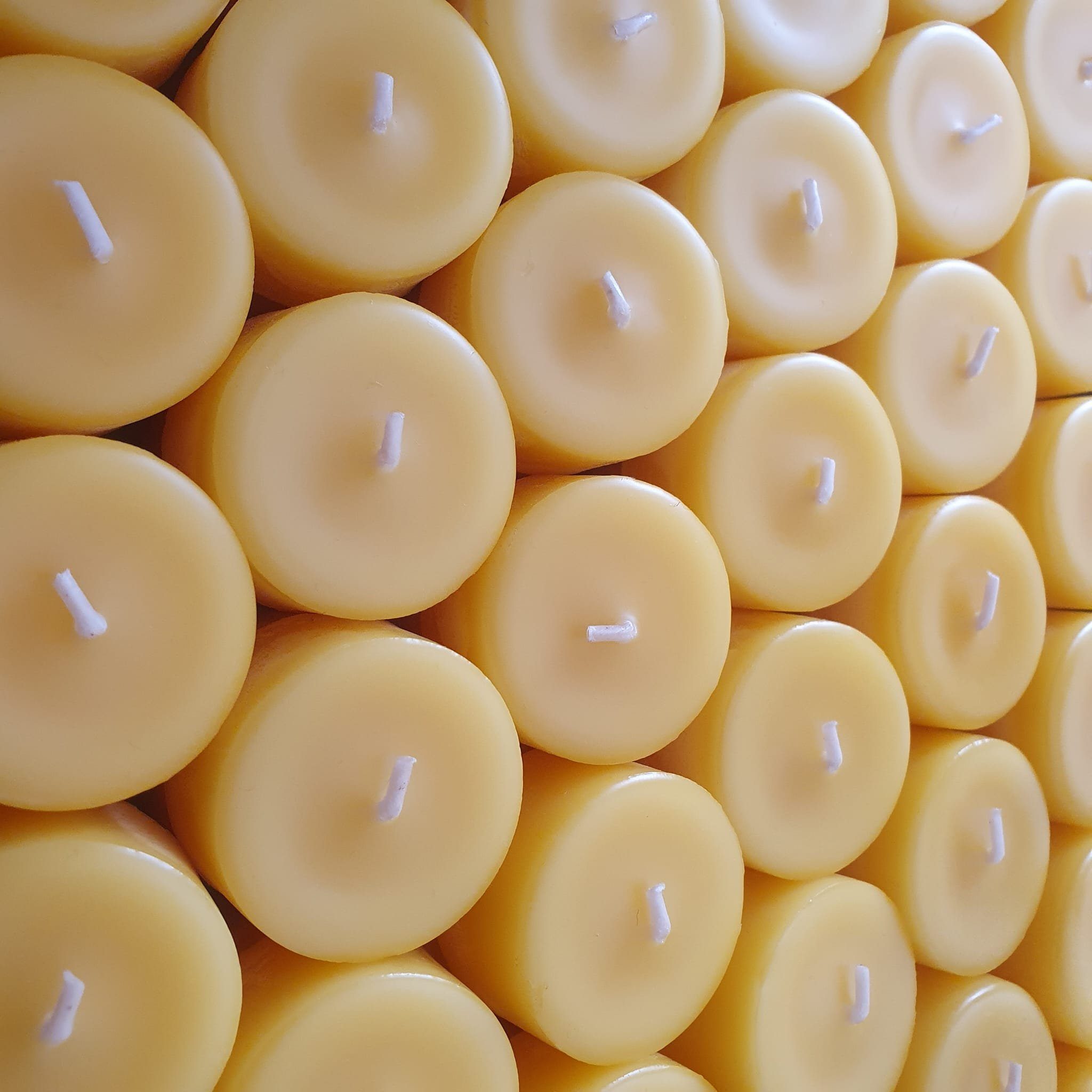 Aspinaworld Teelicht 1x Teelicht aus 100% Bienenwachs, Bienenwachskerze günstig online kaufen