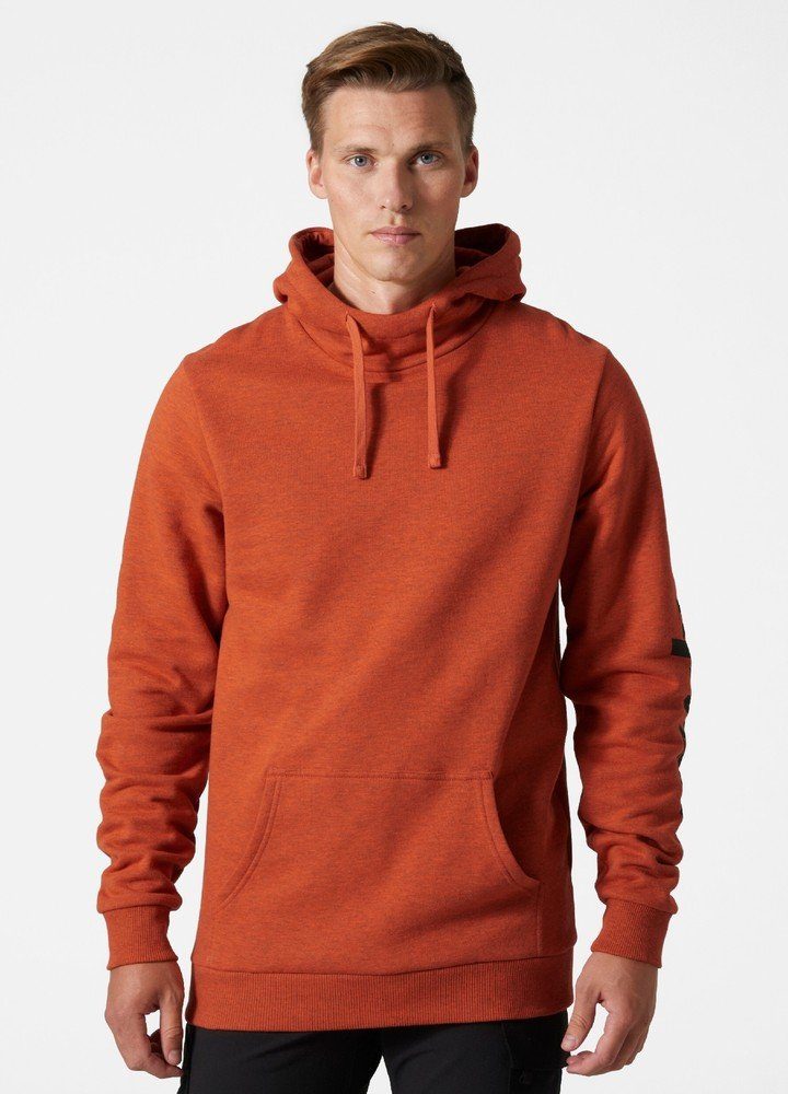 Helly Hansen Kapuzenpullover Logo Hoodie