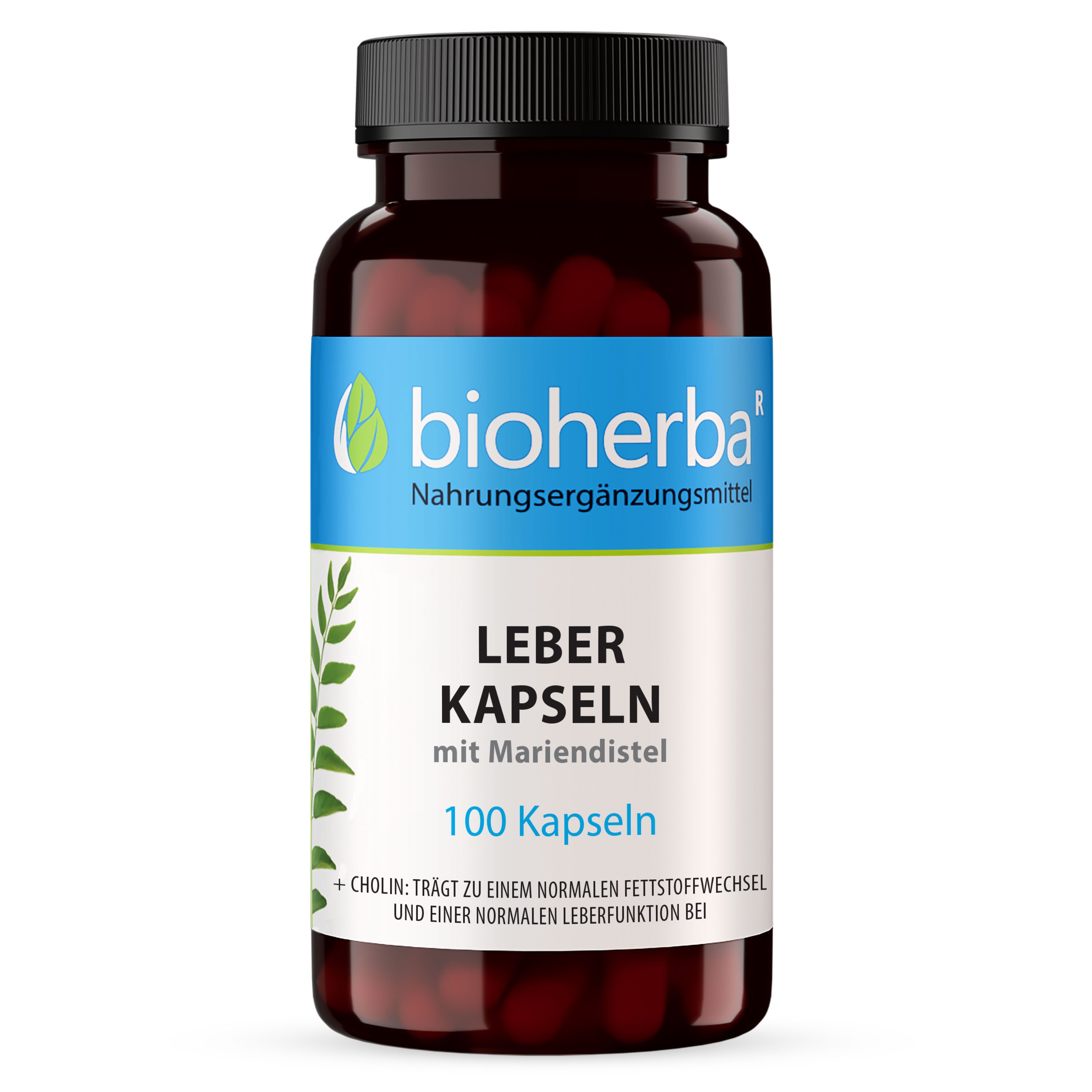 BIOHERBA R Bioherba Leber Kapseln mit Mariendistel 100 Stück Nahrungsergänzungsmittel, 1 er