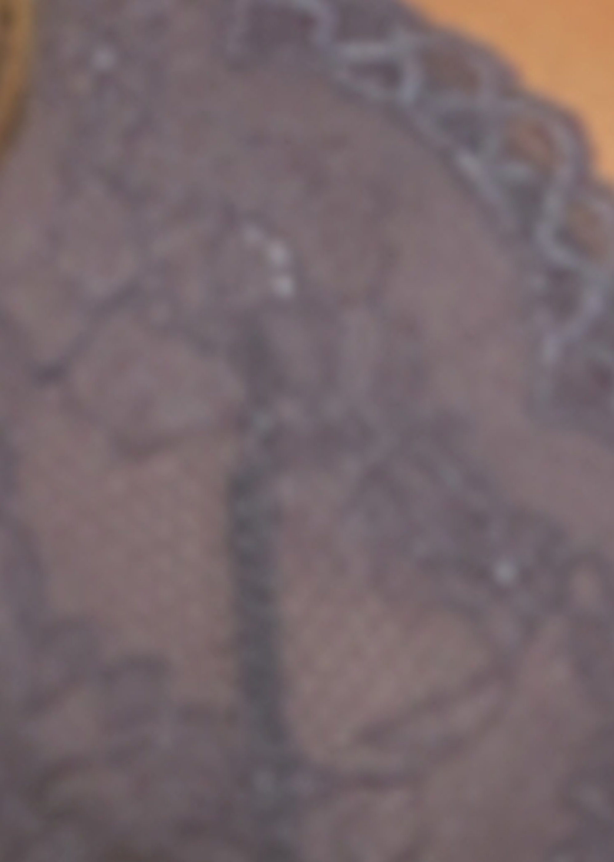 Gossard Longline-BH Lace Longline V-Bügel BH mit Frontverschluss Platin (Longline BH, 1-tlg., Spitze/Netz) verführerisch sexy