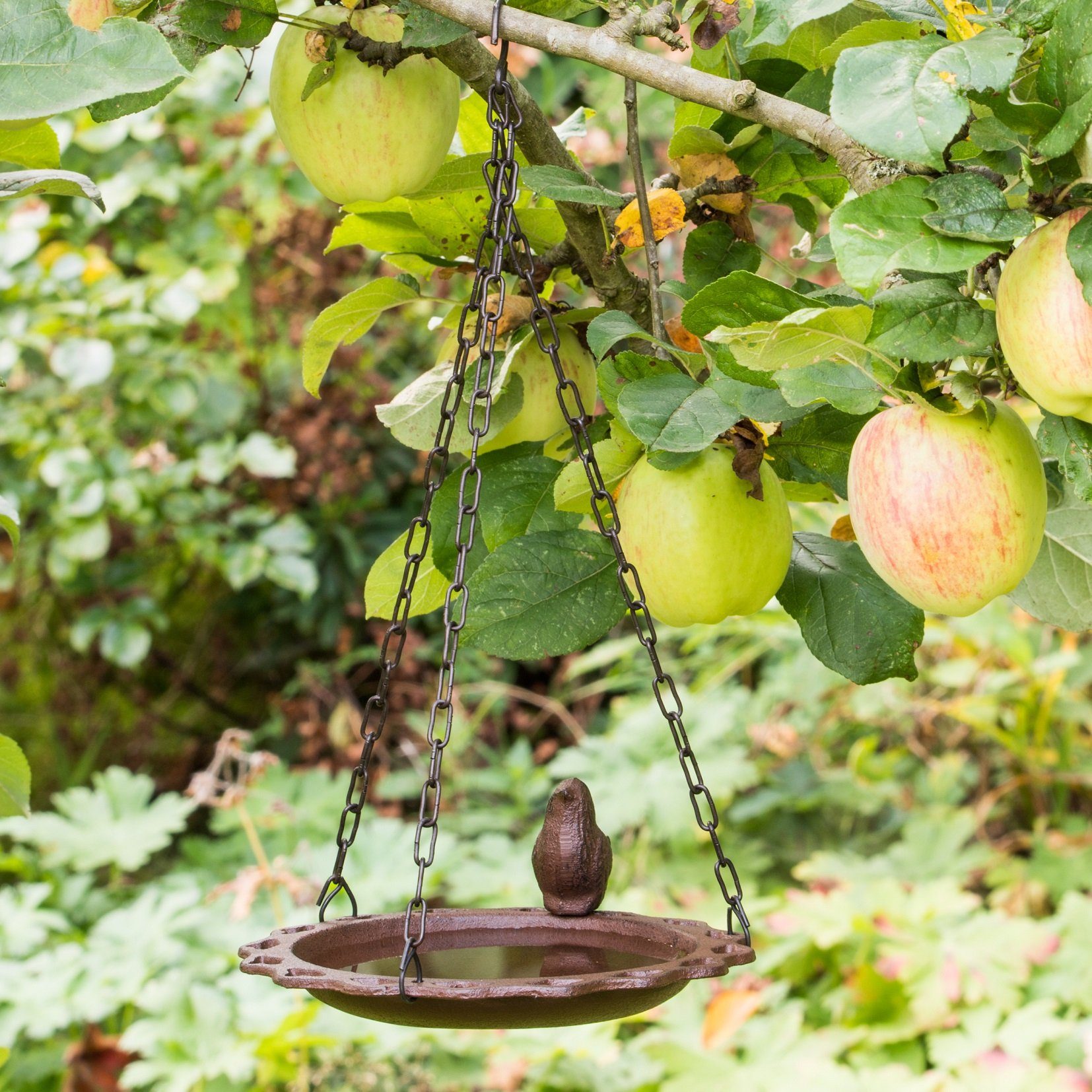 GartenHero Vogeltränke Vogeltränke Gusseisen Vogelbad Wasserschale günstig online kaufen