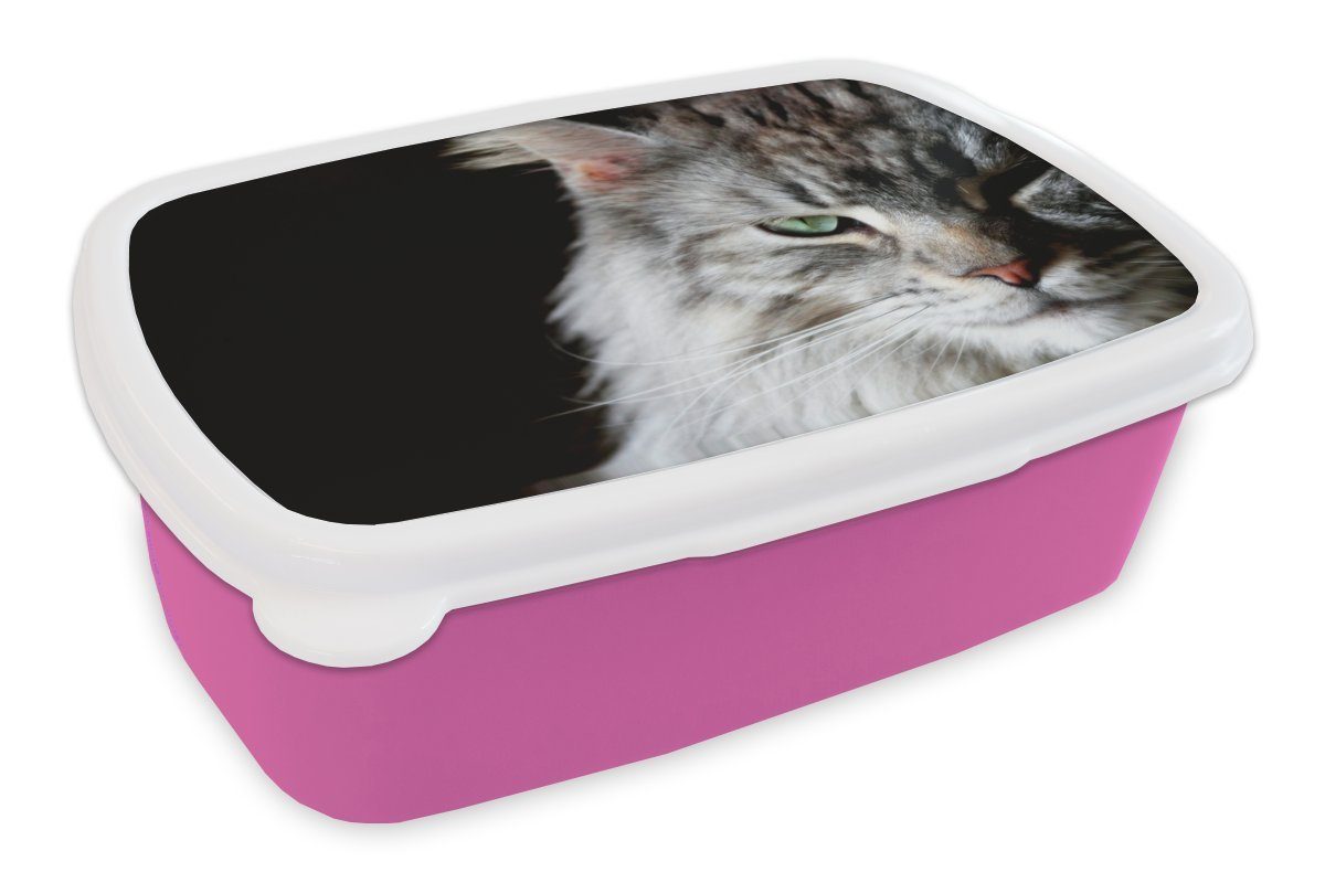 MuchoWow Lunchbox Porträt einer Kunststoff, Katze, Kinder, Brotdose graufarbigen Brotbox Snackbox, für Coon Mädchen, rosa (2-tlg), Maine Kunststoff Erwachsene