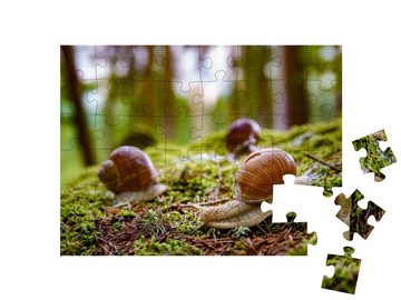 puzzleYOU Puzzle Weinbergschnecken in der Natur, 48 Puzzleteile, puzzleYOU-Kollektionen Schnecken, Insekten & Kleintiere