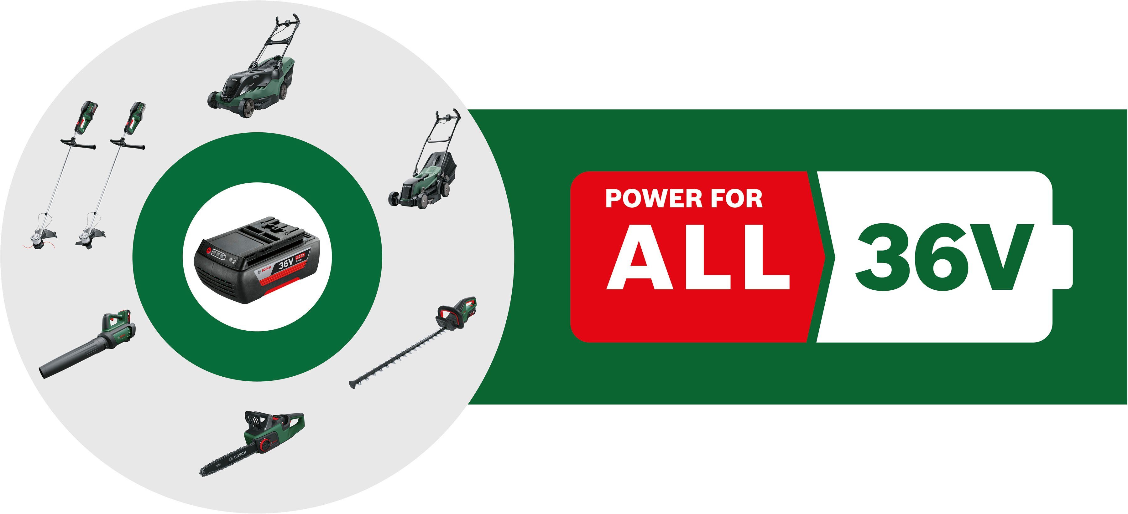 Bosch Home & Garden Starter-Set 36V Akku-Set