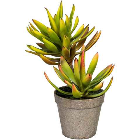 Künstliche Zimmerpflanze Deko-Sukkulente Aloe plicatilis Aloe, Creativ green, Höhe 30 cm