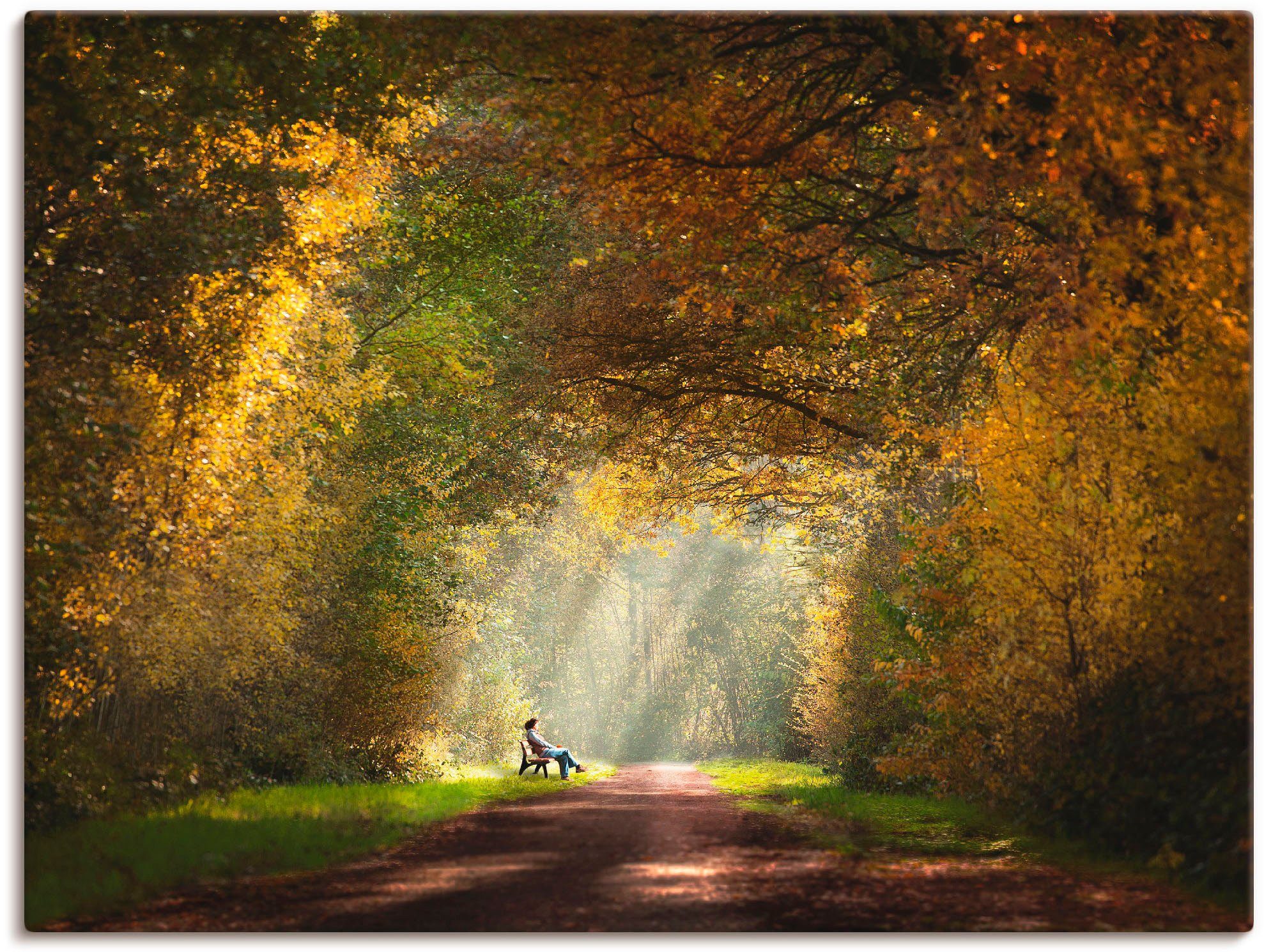 Artland Leinwandbild Licht am Ende des Tunnels..., Wald (1 St), auf Holzrahmen gespannt