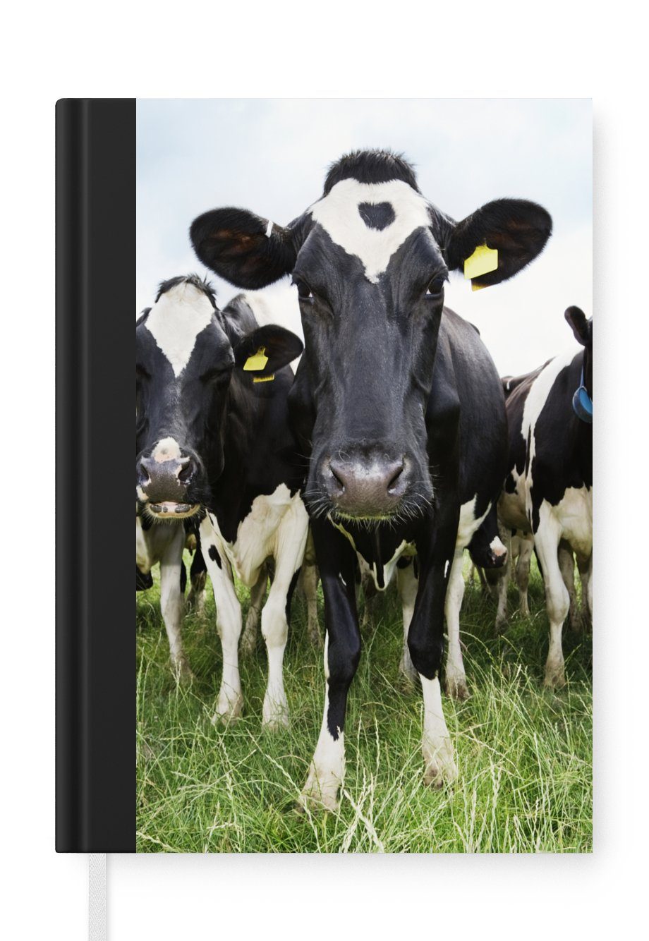 MuchoWow Notizbuch Kühe - Gras - Frühling - Tiere - Wiese - Bauernhof, Journal, Merkzettel, Tagebuch, Notizheft, A5, 98 Seiten, Haushaltsbuch