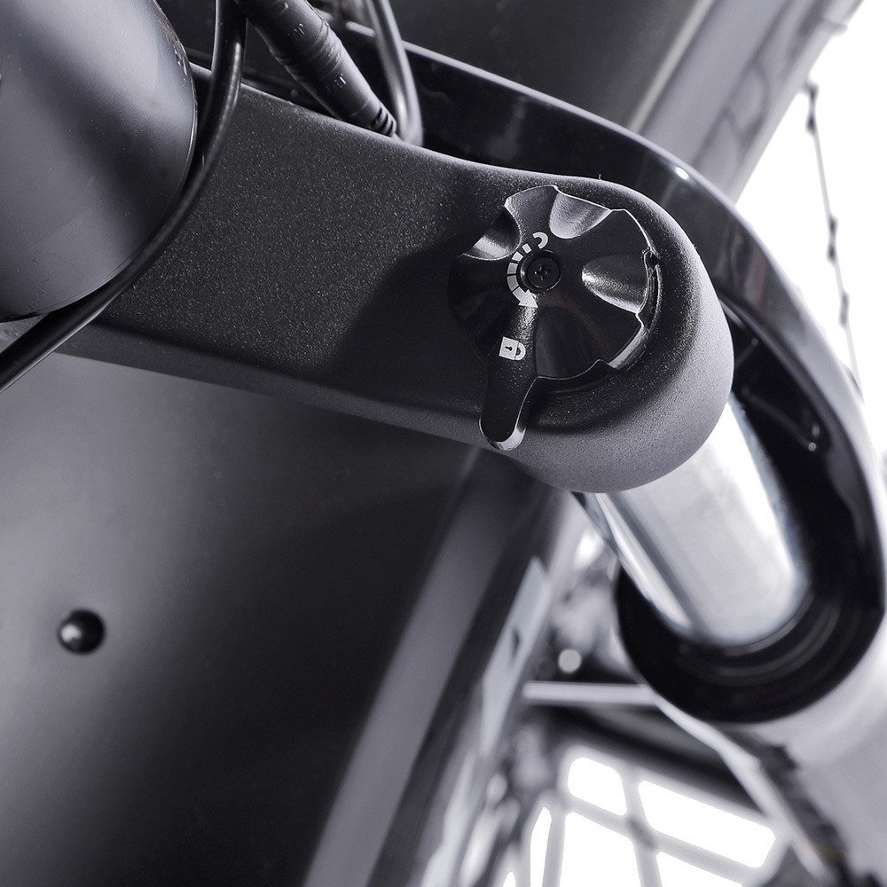 JOBOBIKE E-Bike Mountain Bike 26x4 inch for men and women, Robin Mountain Bike 624Wh, max. 100km range, 7-speed Shimano, derailleur gears, rear motor, 624 Wh, (load capacity: 130 kg, aluminum frame, removable battery), pedelec MTB with fat tires for all terrains, 5 adjustable levels