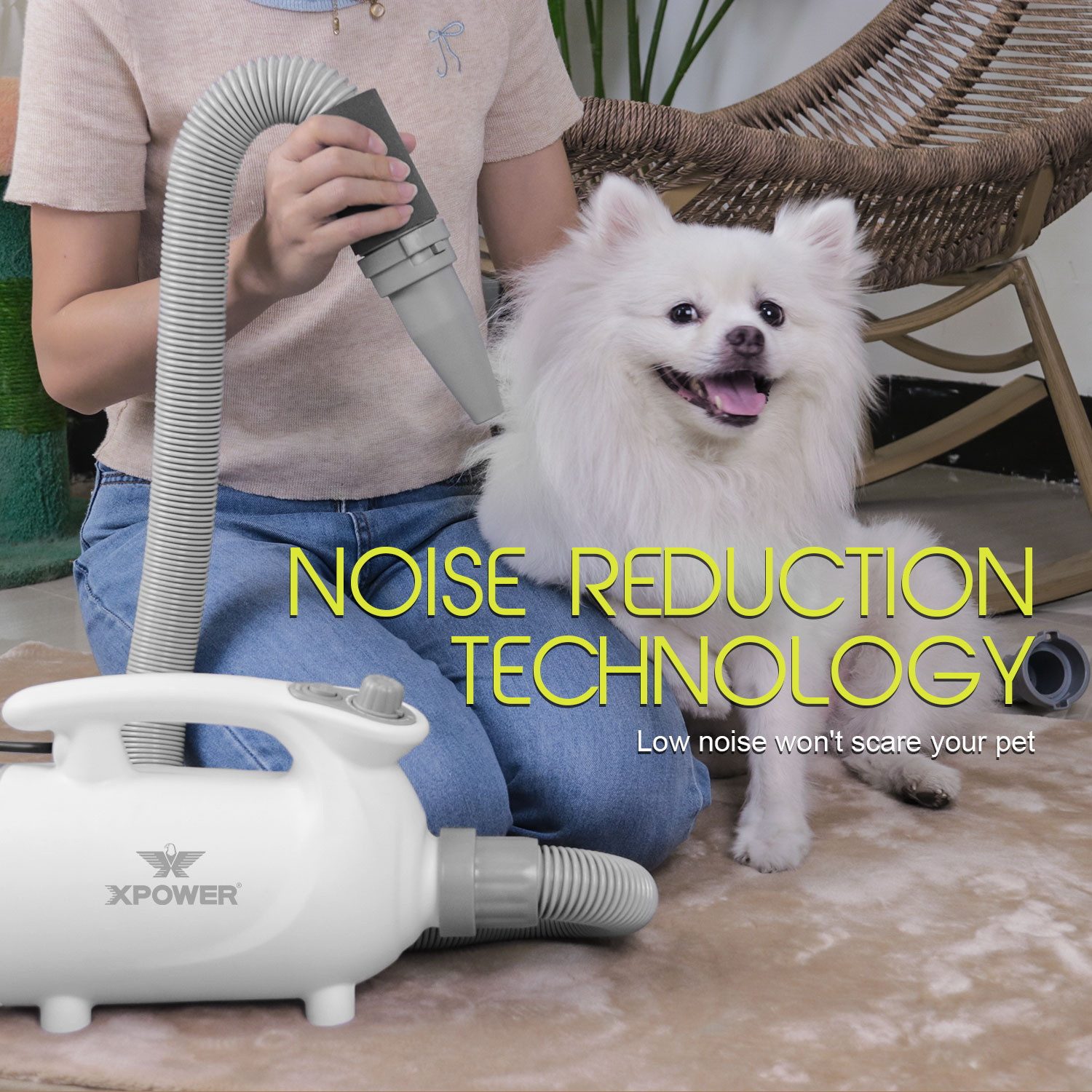 XPOWER Hundeschermaschine B-113 Haushalts Haustier Trimmer Anti-Sheddin Haustier Staubsauger Set, 5 in 1, 2 HEIZSTUFEN, GERÄUSCHARMER BETRIEB, FLEXIBLER SCHLAUCH, Dauerhaft