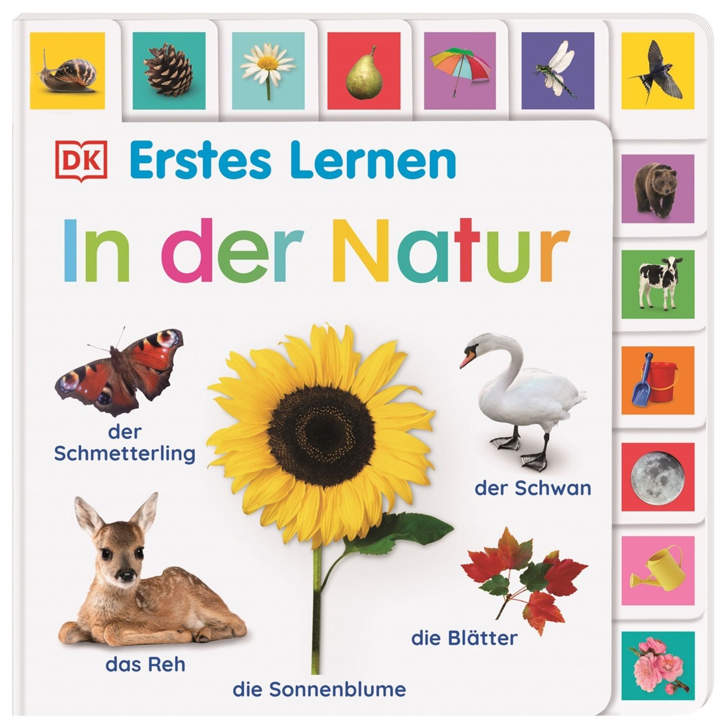 Erstes Lernen. In der Natur / DK Erstes Lernen