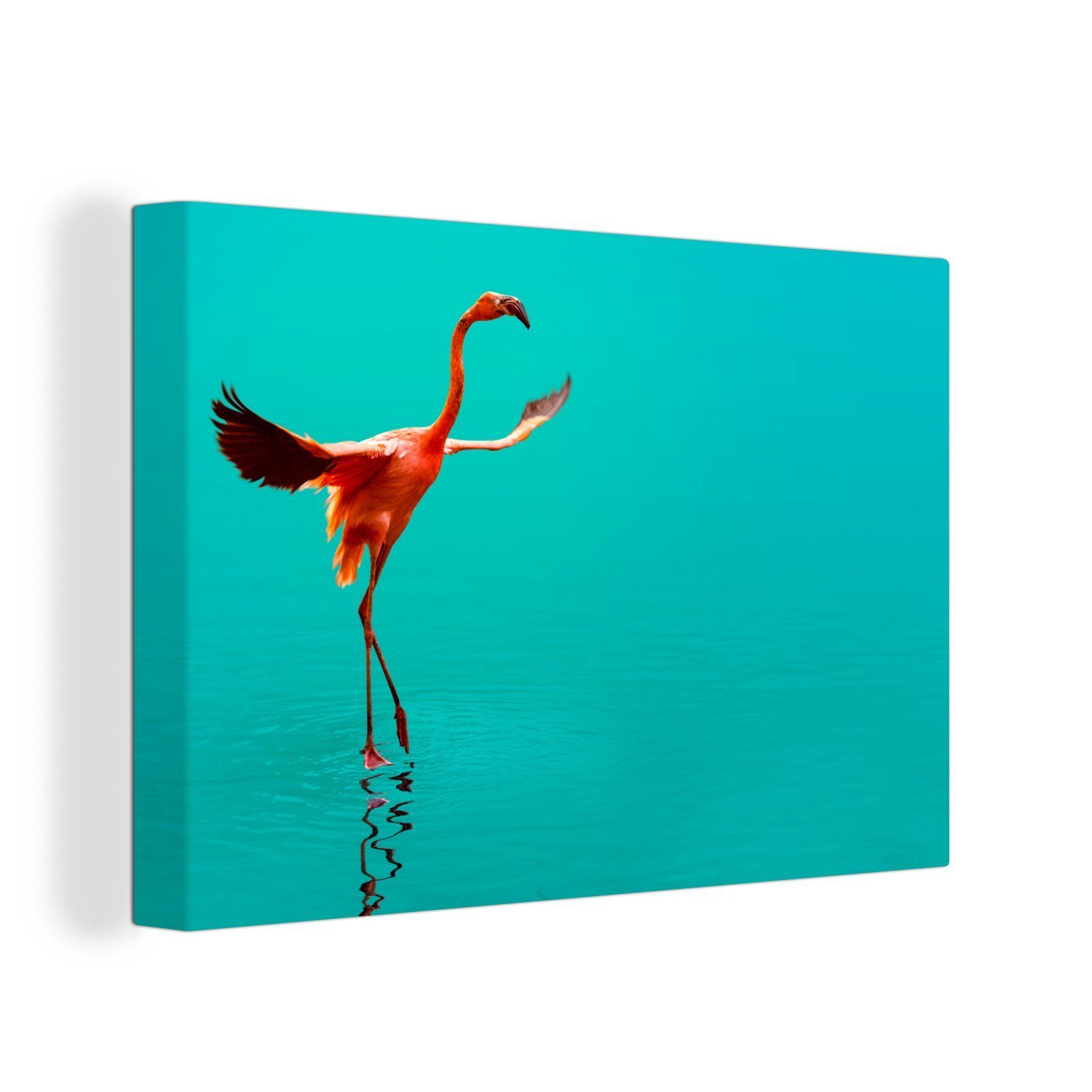 OneMillionCanvasses® Leinwandbild Ein Flamingo am klaren blauen Wasser, (1 St), Wandbild Leinwandbilder, Aufhängefertig, Wanddeko, 30x20 cm