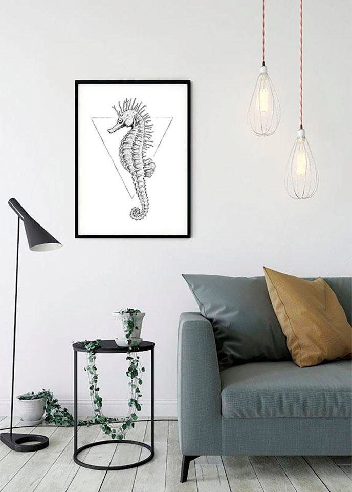 Komar Bild Sea Horse White, Tiere (1 St), Wandbild zur Dekoration - ohne Rahmen
