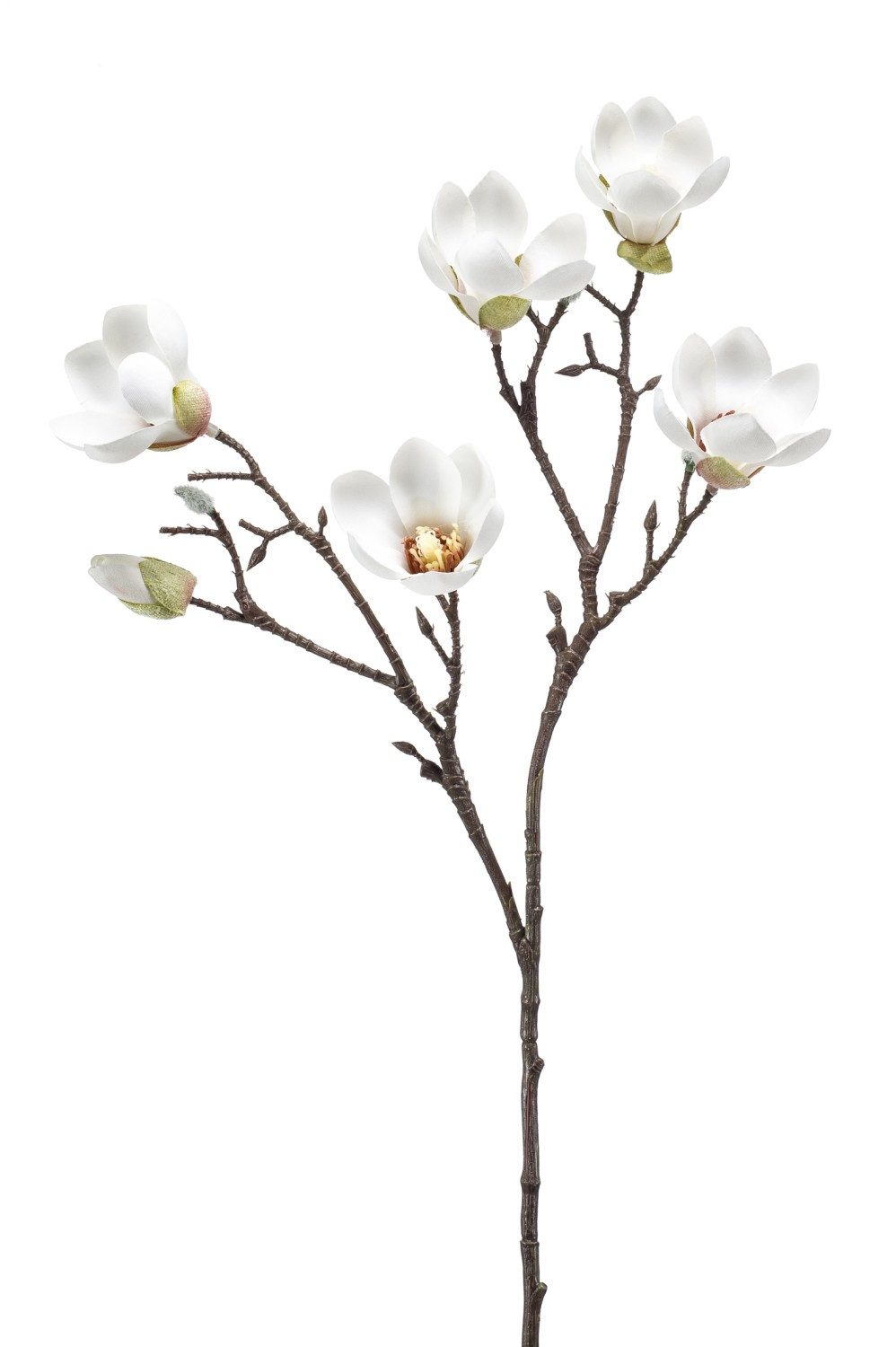 Kunstzweig Künstliche Magnolie ANEU, Creme, 65cm Magnolie, artplants, Höhe 65.0 cm