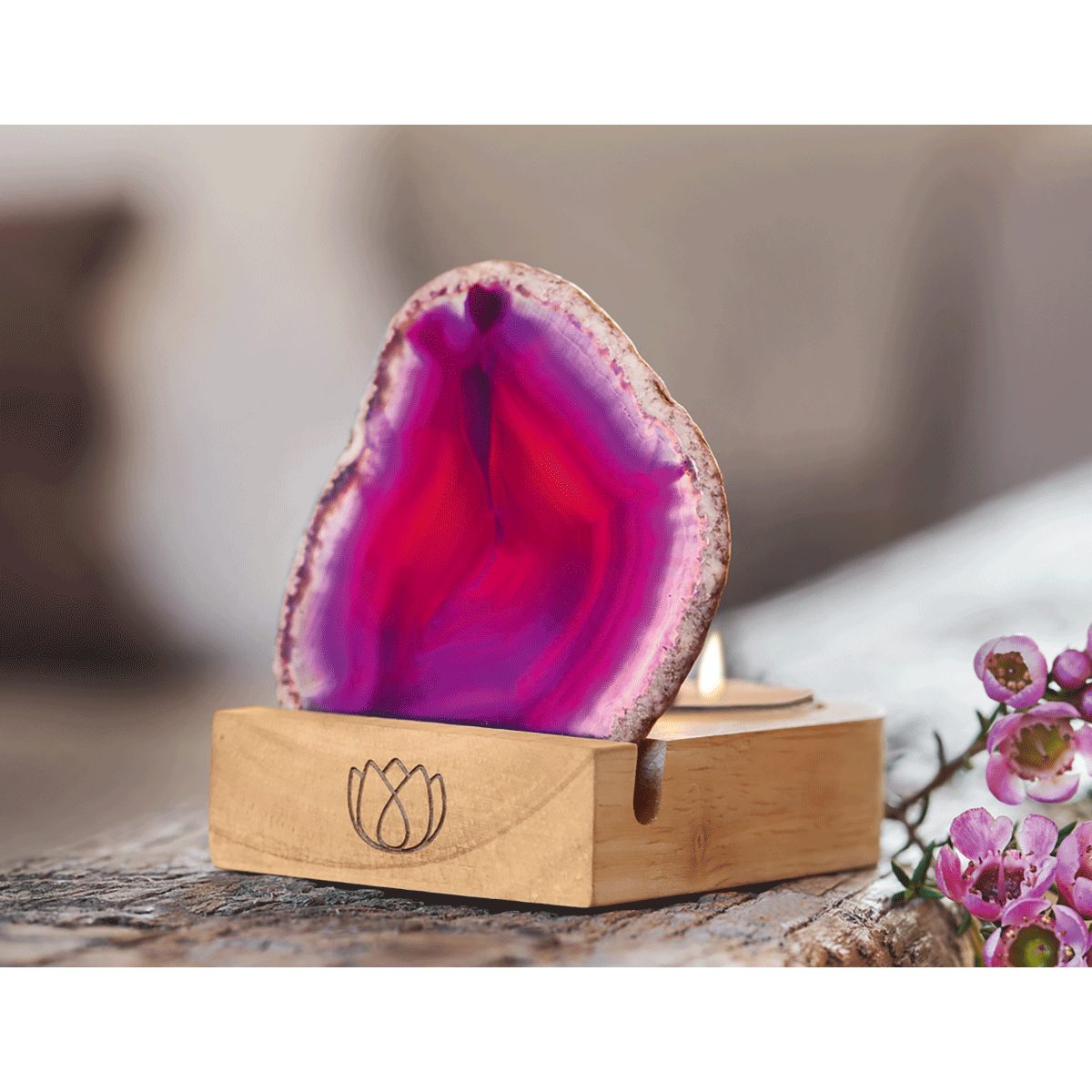 Windlicht moses. Omm for You Achat-Windlicht günstig online kaufen