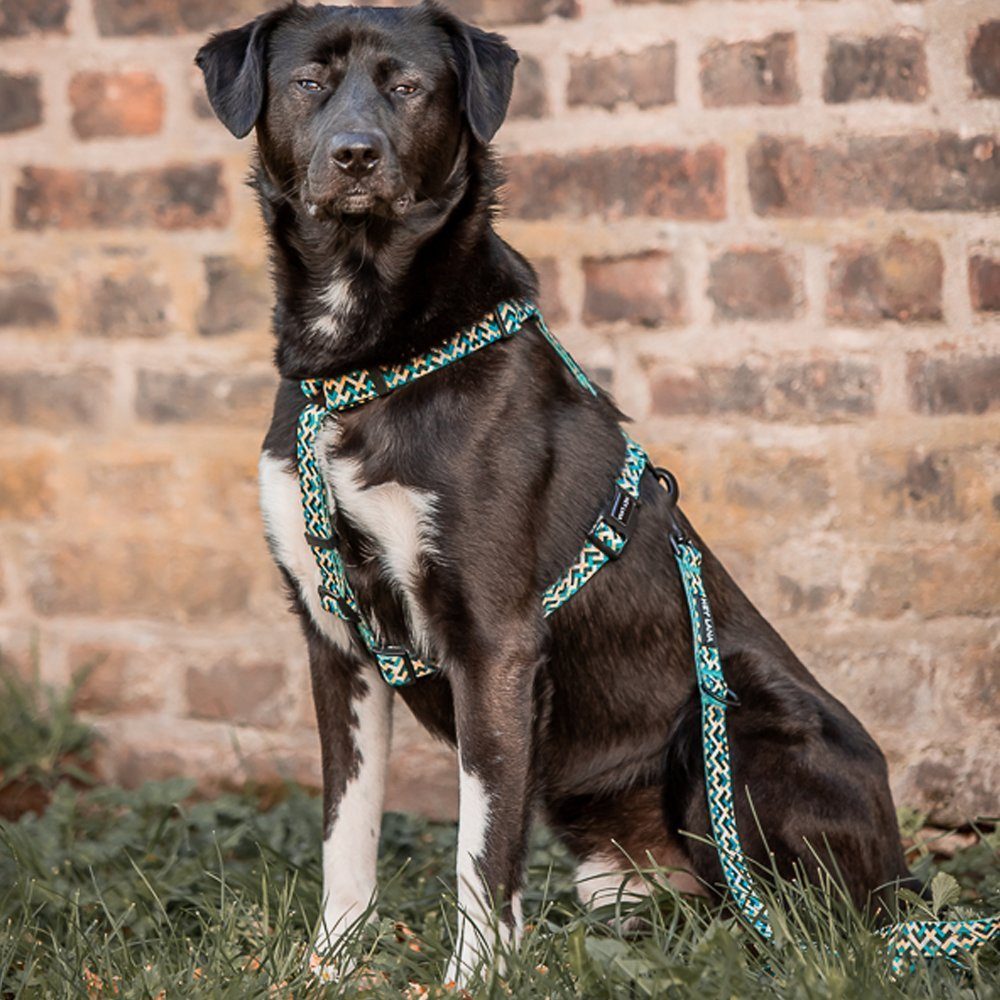 Hey Lana Hunde-Geschirr Führgeschirr – 5-fach verstellbar – Kunterbunt, Ohne Neoprenpolsterung