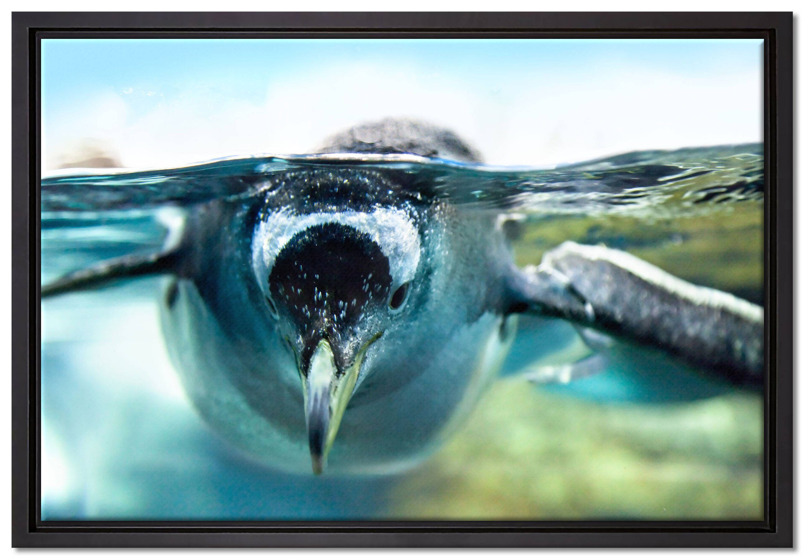 Pixxprint Leinwandbild Pinguin im Wasser, Wanddekoration (1 St), Leinwandbild fertig bespannt, in einem Schattenfugen-Bilderrahmen gefasst, inkl. Zackenaufhänger