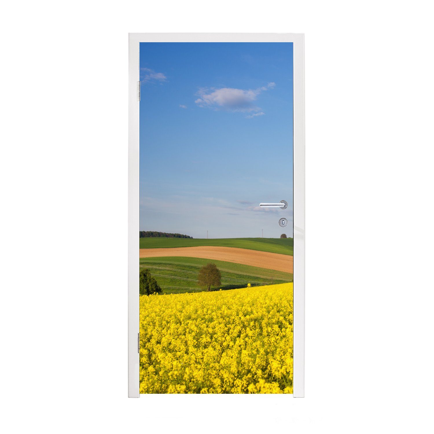 Türaufkleber, St), Tür, Türtapete Gelb, - - (1 Matt, MuchoWow für Fototapete Frühling cm 75x205 bedruckt, Blumen
