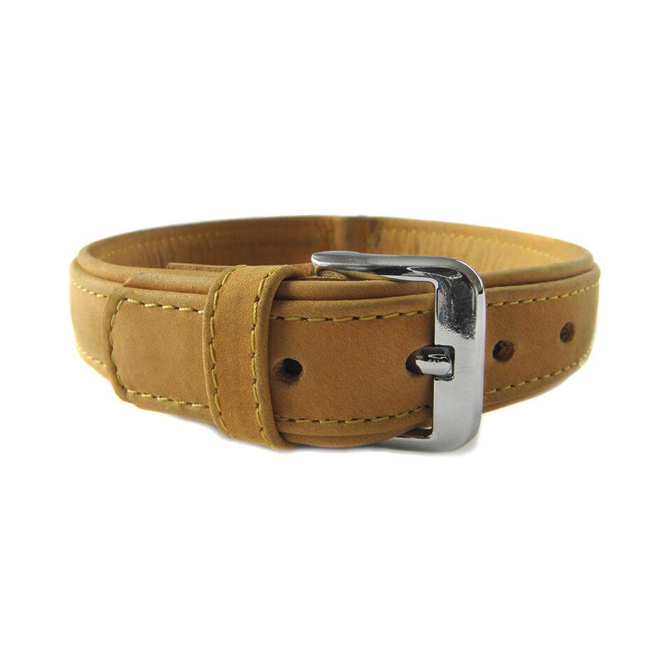 Das Lederband Hunde-Halsband Hundehalsband Boston sand/sand