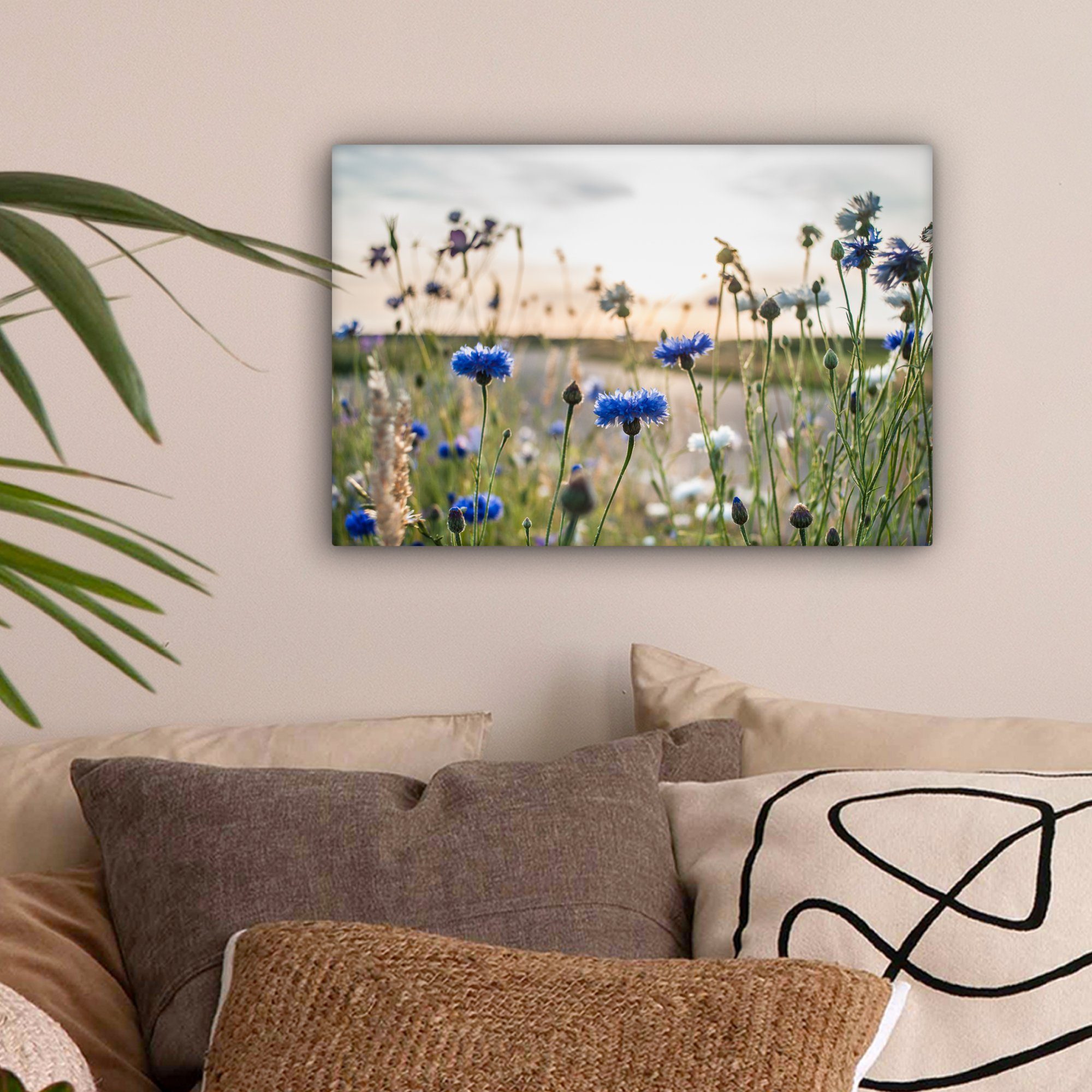 OneMillionCanvasses® Leinwandbild Blumen - Sommer - günstig online kaufen