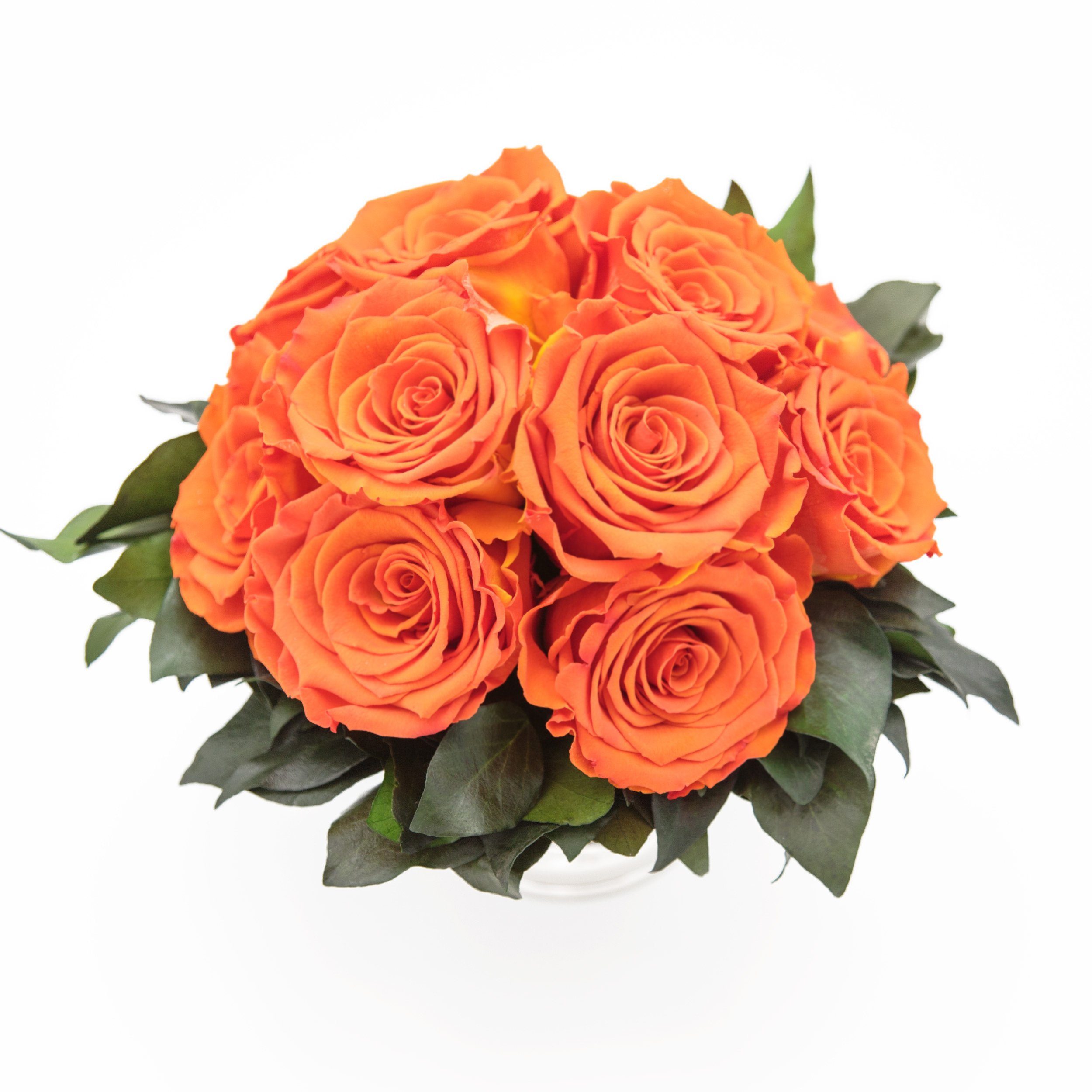 Gestecke Blumengesteck 11 Infinity Rosen in Blumenschale Blumenstrauß Rosenbox Rose, ROSEMARIE SCHULZ Heidelberg, Höhe 18 cm, Echte Blumen 3 Jahre haltbar, Geschenk für Frauen, Made in Germany